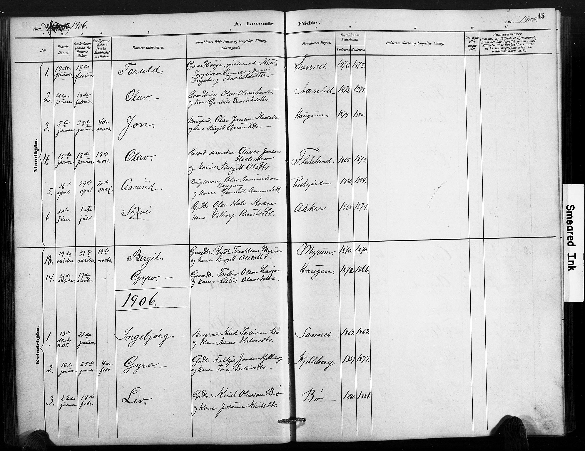 Valle sokneprestkontor, SAK/1111-0044/F/Fb/Fbc/L0004: Parish register (copy) no. B 4, 1890-1928, p. 45