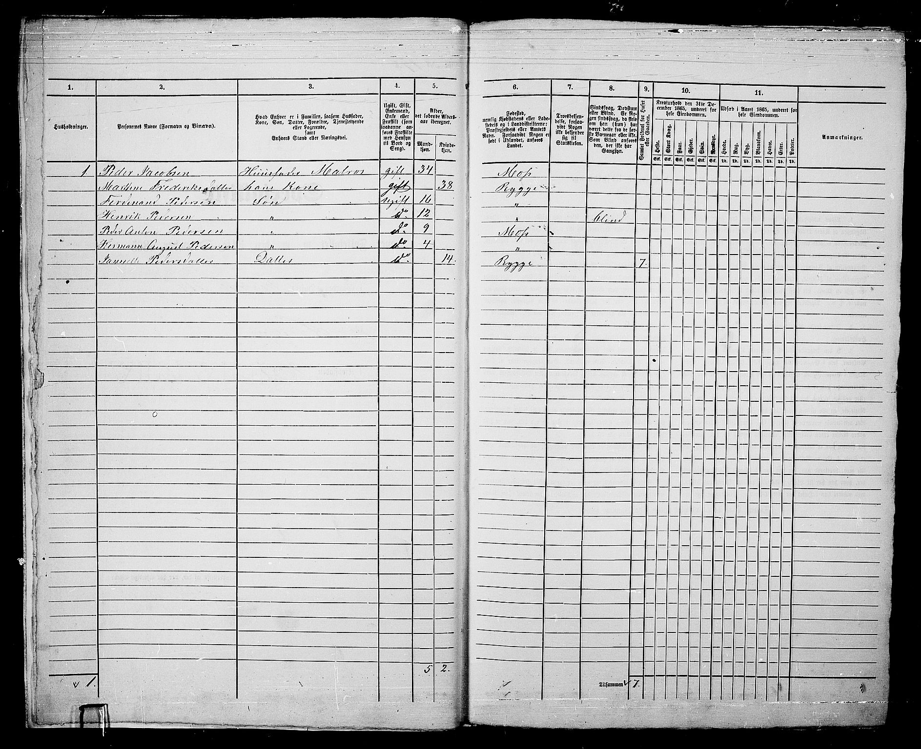 RA, 1865 census for Moss/Moss, 1865, p. 360