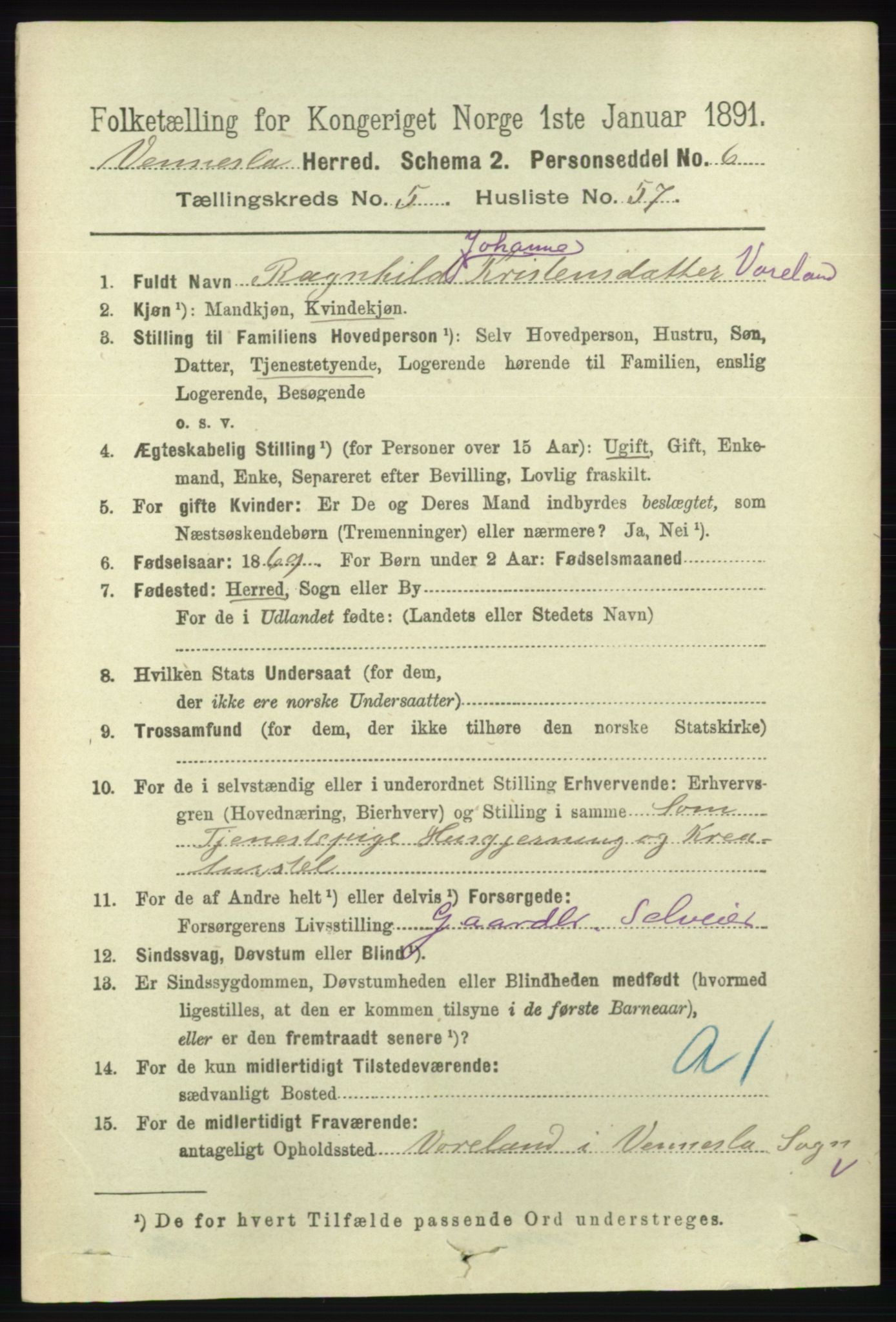 RA, 1891 census for 1014 Vennesla, 1891, p. 1551