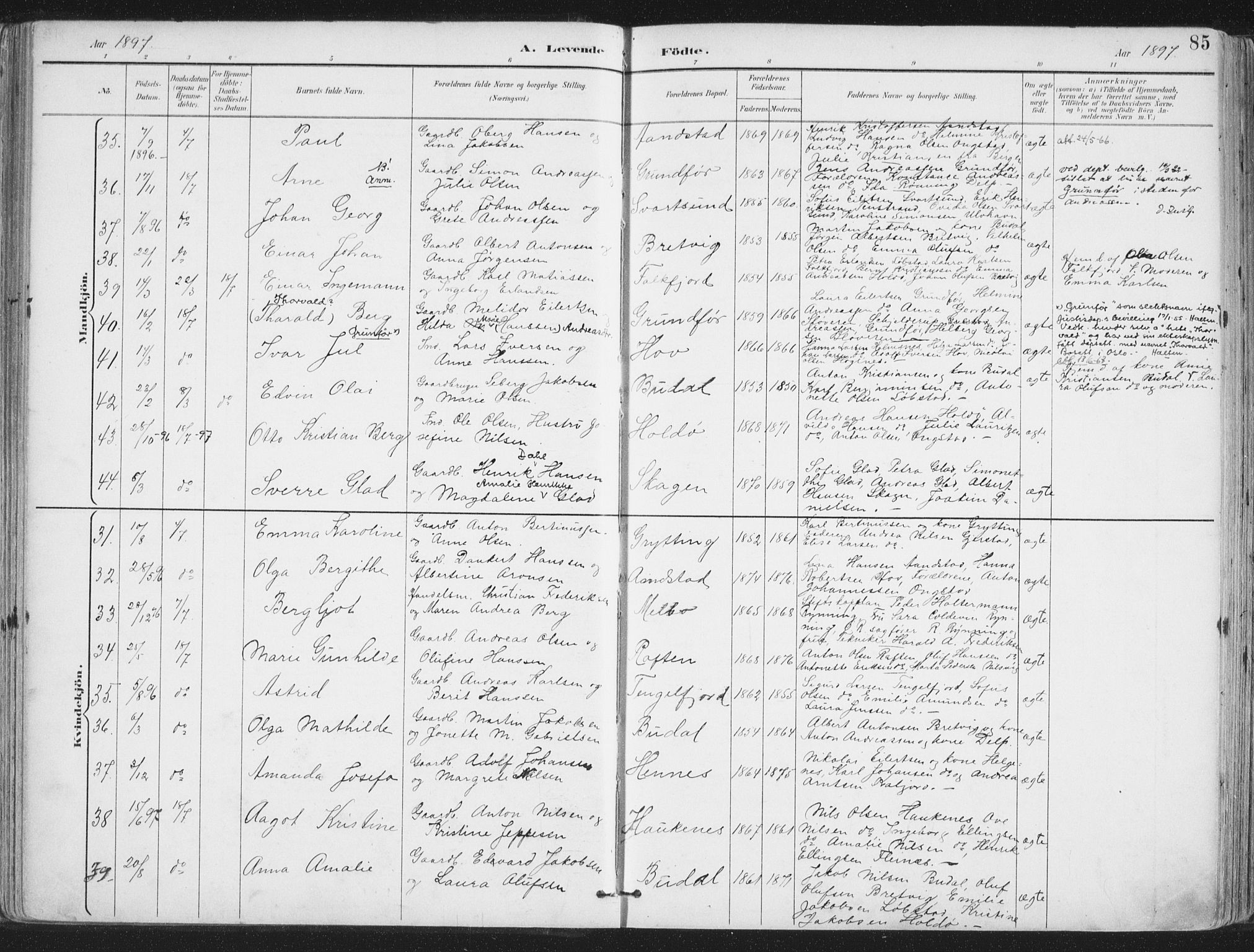 Ministerialprotokoller, klokkerbøker og fødselsregistre - Nordland, AV/SAT-A-1459/888/L1246: Parish register (official) no. 888A12, 1891-1903, p. 85