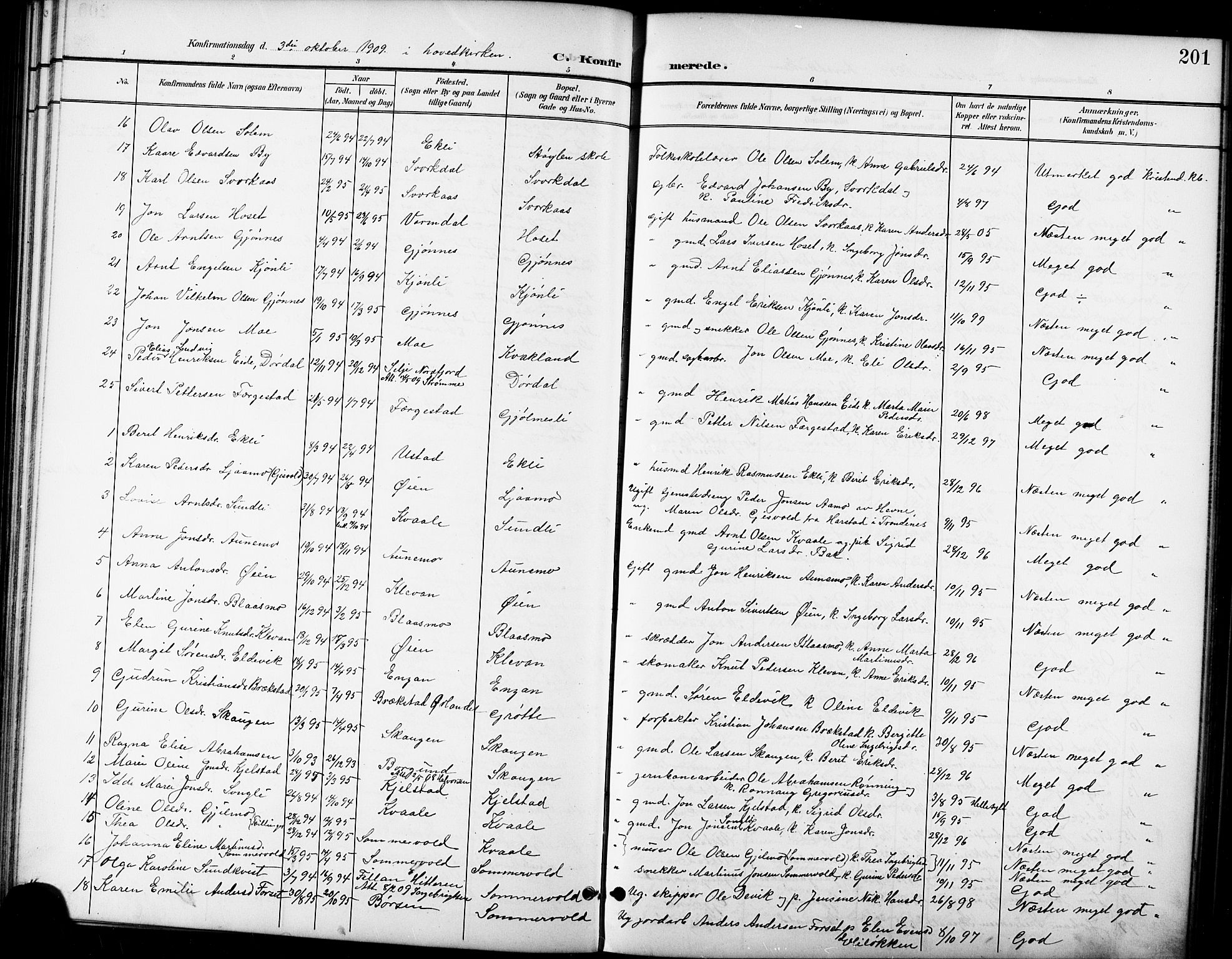 Ministerialprotokoller, klokkerbøker og fødselsregistre - Sør-Trøndelag, SAT/A-1456/668/L0819: Parish register (copy) no. 668C08, 1899-1912, p. 201