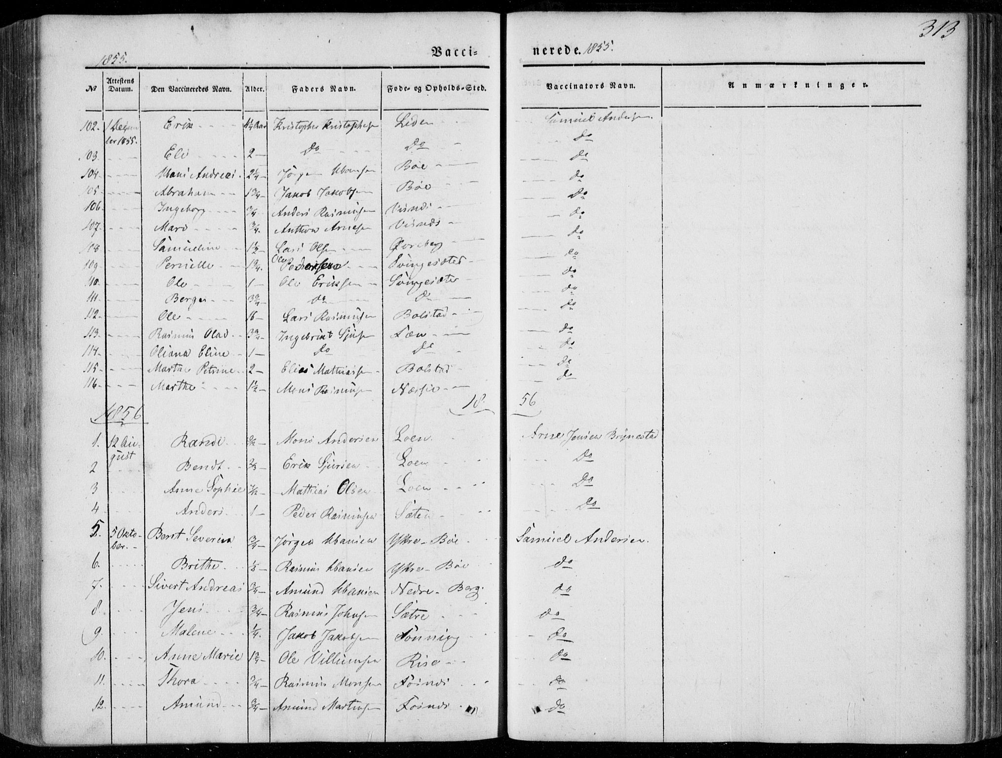Stryn Sokneprestembete, SAB/A-82501: Parish register (official) no. A 2, 1844-1861, p. 313