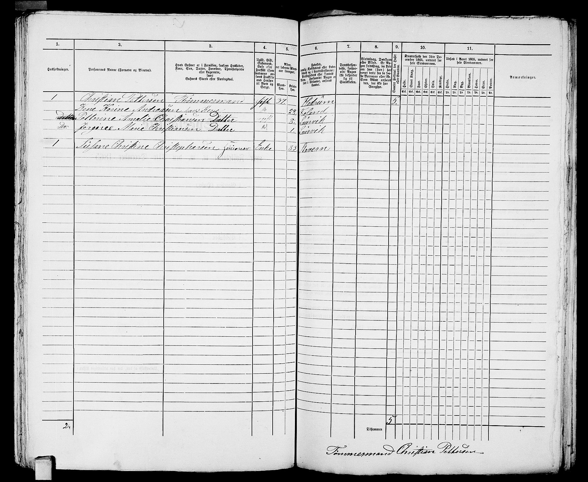 RA, 1865 census for Larvik, 1865, p. 1052