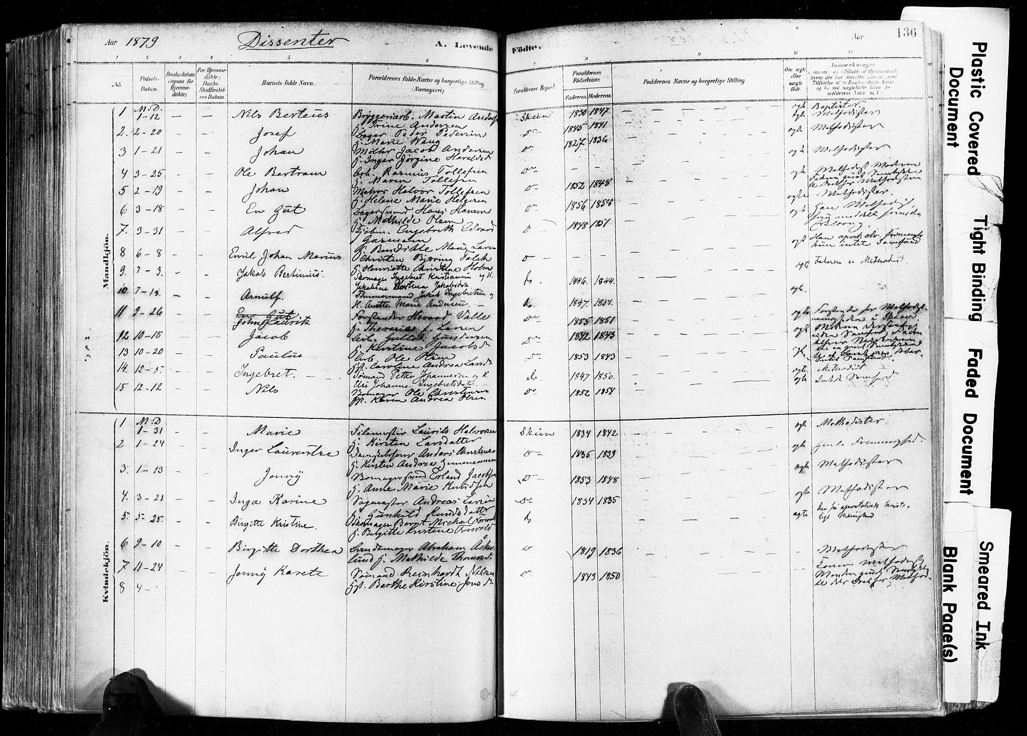 Skien kirkebøker, SAKO/A-302/F/Fa/L0009: Parish register (official) no. 9, 1878-1890, p. 136