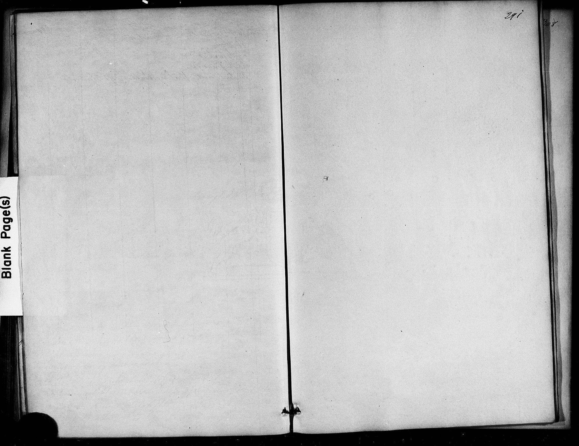 Strømm kirkebøker, AV/SAKO-A-322/F/Fa/L0002: Parish register (official) no. I 2, 1870-1877, p. 291