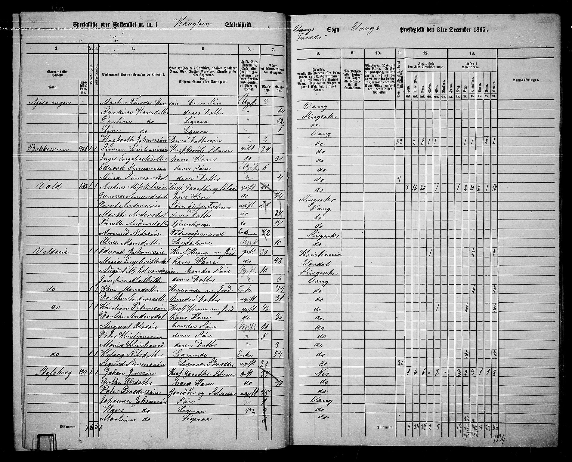 RA, 1865 census for Vang/Vang og Furnes, 1865, p. 154