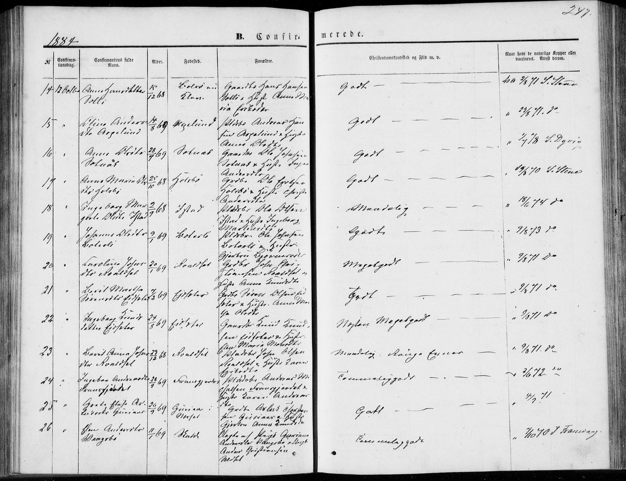 Ministerialprotokoller, klokkerbøker og fødselsregistre - Møre og Romsdal, AV/SAT-A-1454/557/L0681: Parish register (official) no. 557A03, 1869-1886, p. 247