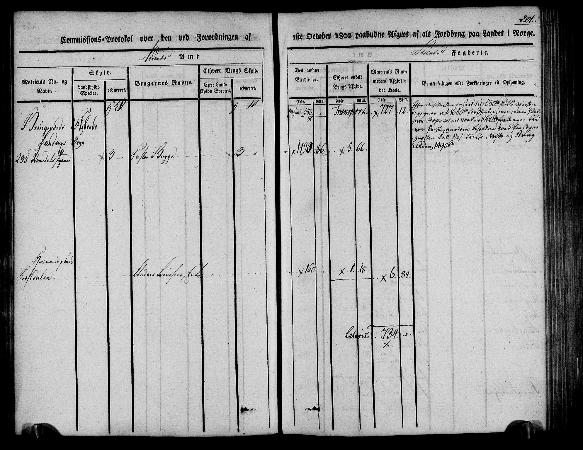 Rentekammeret inntil 1814, Realistisk ordnet avdeling, AV/RA-EA-4070/N/Ne/Nea/L0078: Nedenes fogderi. Kommisjonsprotokoll "Nr. 1", for Sand og Bringsvær skipreider, 1803, p. 201