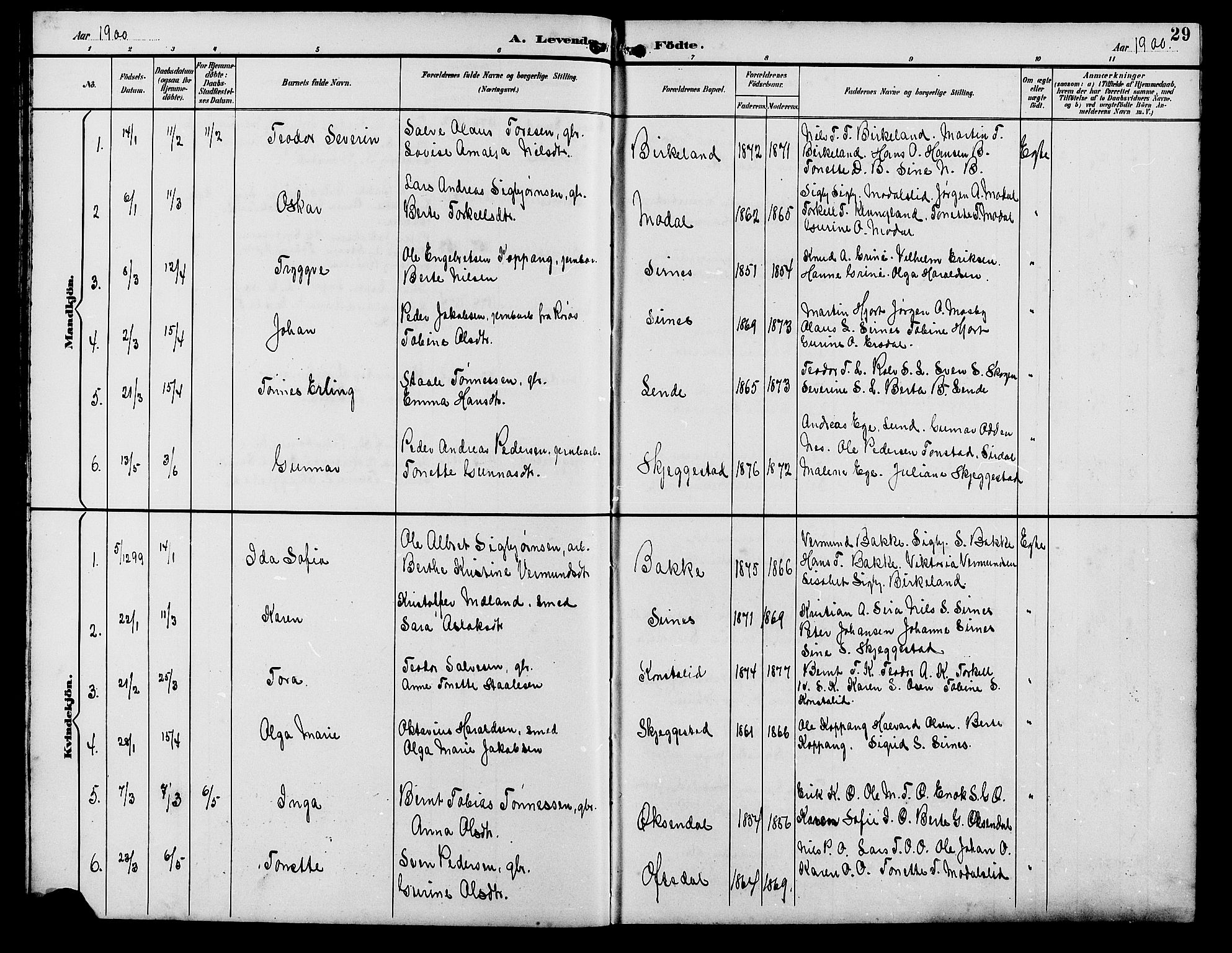 Bakke sokneprestkontor, SAK/1111-0002/F/Fb/Fba/L0003: Parish register (copy) no. B 3, 1894-1910, p. 29