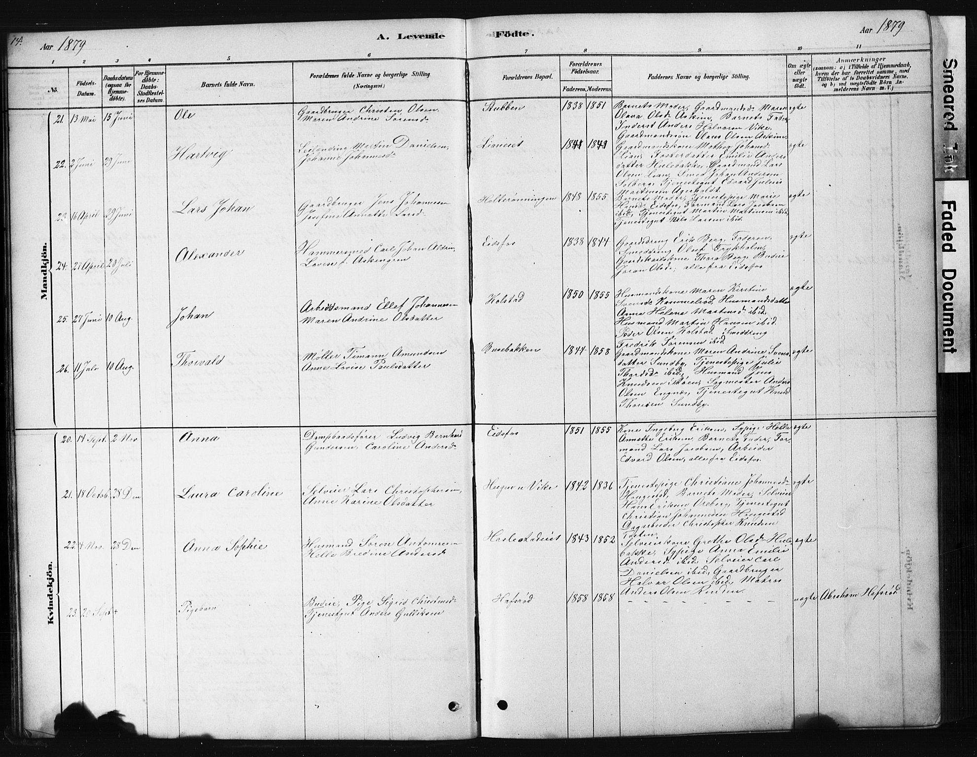 Hof kirkebøker, AV/SAKO-A-64/G/Ga/L0004: Parish register (copy) no. I 4, 1878-1930, p. 14