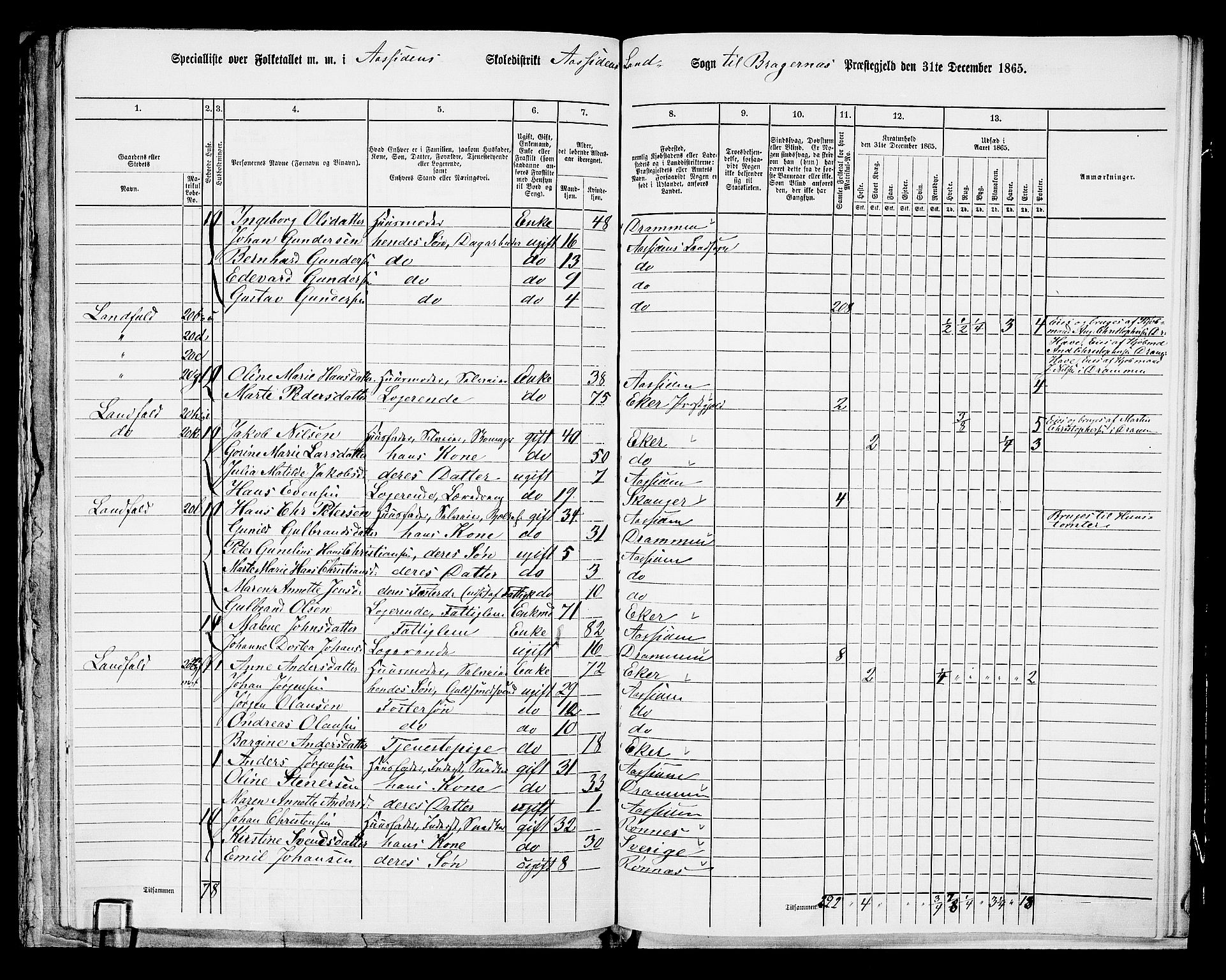 RA, 1865 census for Bragernes/Åssiden, 1865, p. 22