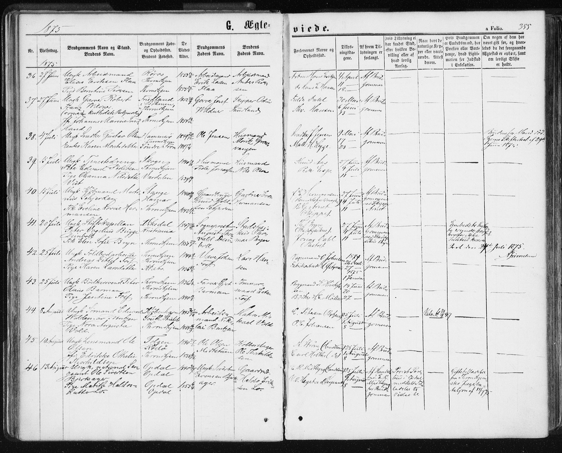 Ministerialprotokoller, klokkerbøker og fødselsregistre - Sør-Trøndelag, AV/SAT-A-1456/601/L0055: Parish register (official) no. 601A23, 1866-1877, p. 355