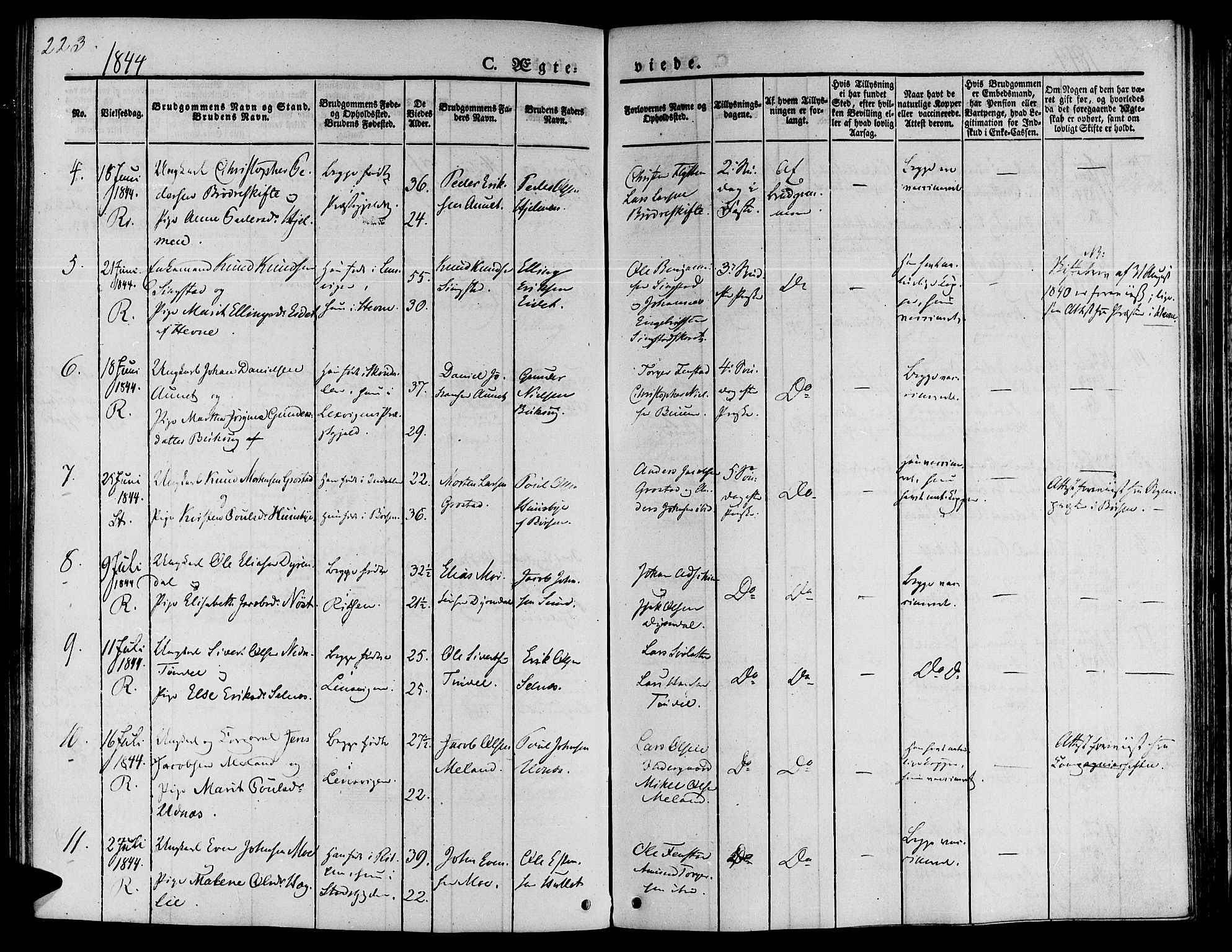 Ministerialprotokoller, klokkerbøker og fødselsregistre - Sør-Trøndelag, SAT/A-1456/646/L0610: Parish register (official) no. 646A08, 1837-1847, p. 223