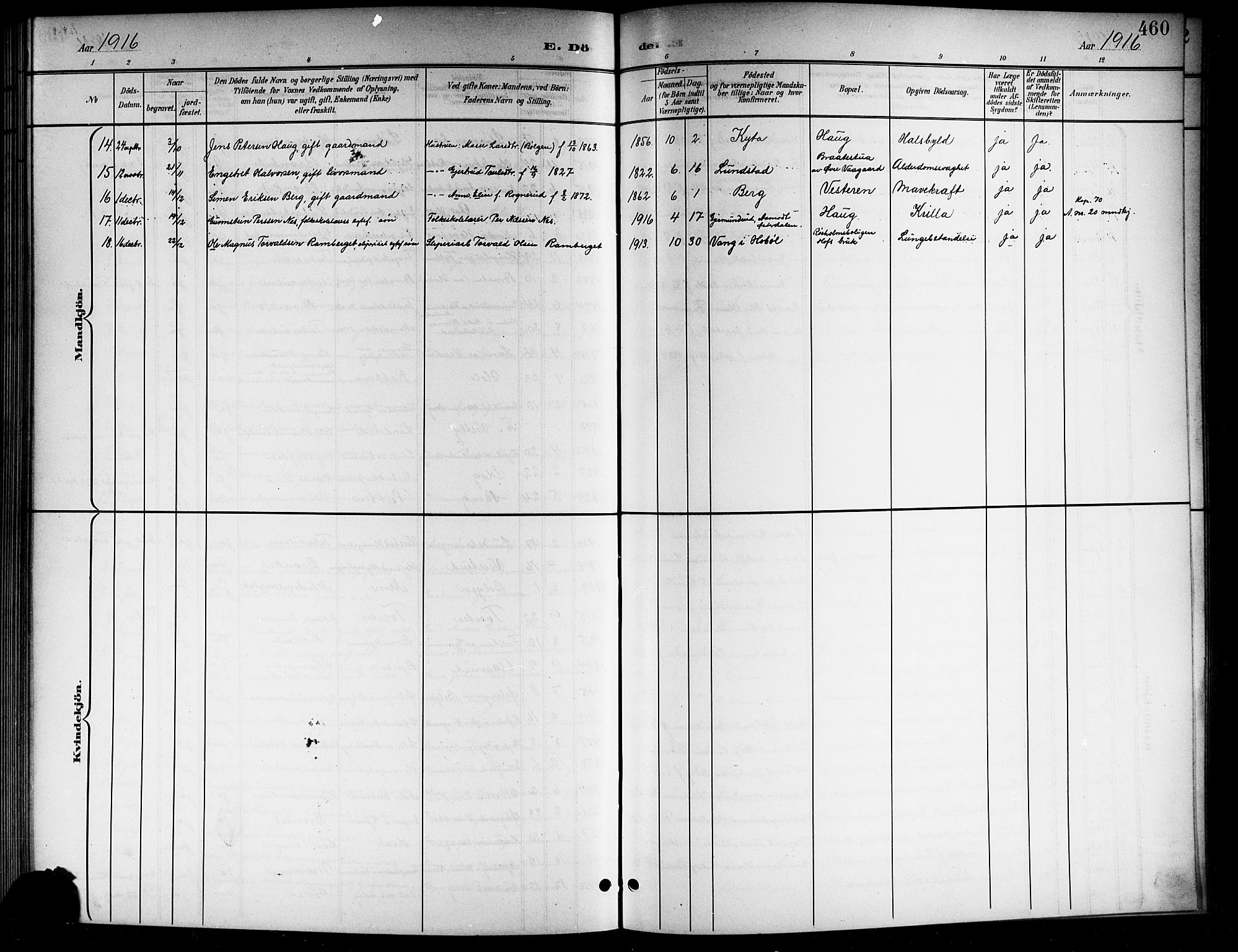 Norderhov kirkebøker, AV/SAKO-A-237/G/Gb/L0002: Parish register (copy) no. II 2, 1891-1921, p. 460