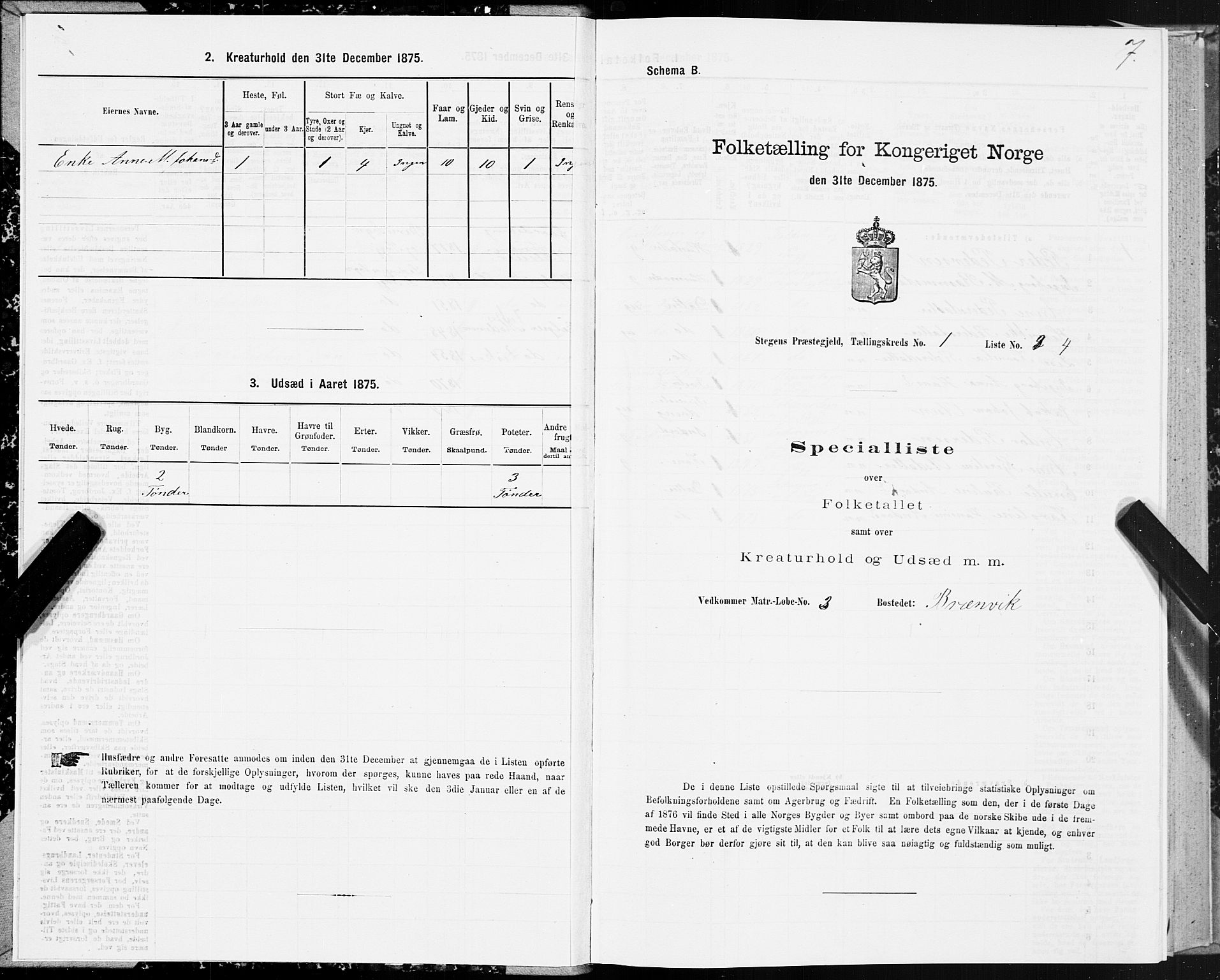 SAT, 1875 census for 1848P Steigen, 1875, p. 1007