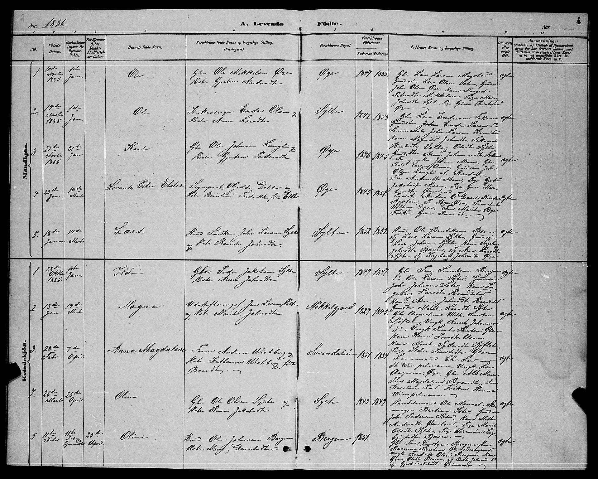 Ministerialprotokoller, klokkerbøker og fødselsregistre - Møre og Romsdal, AV/SAT-A-1454/595/L1052: Parish register (copy) no. 595C04, 1885-1900, p. 4