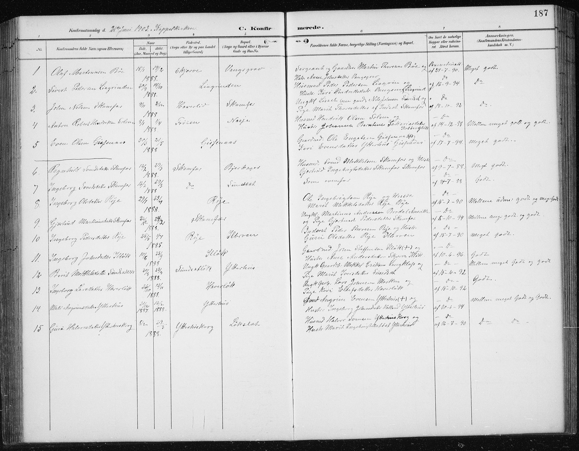 Ministerialprotokoller, klokkerbøker og fødselsregistre - Sør-Trøndelag, SAT/A-1456/674/L0876: Parish register (copy) no. 674C03, 1892-1912, p. 187