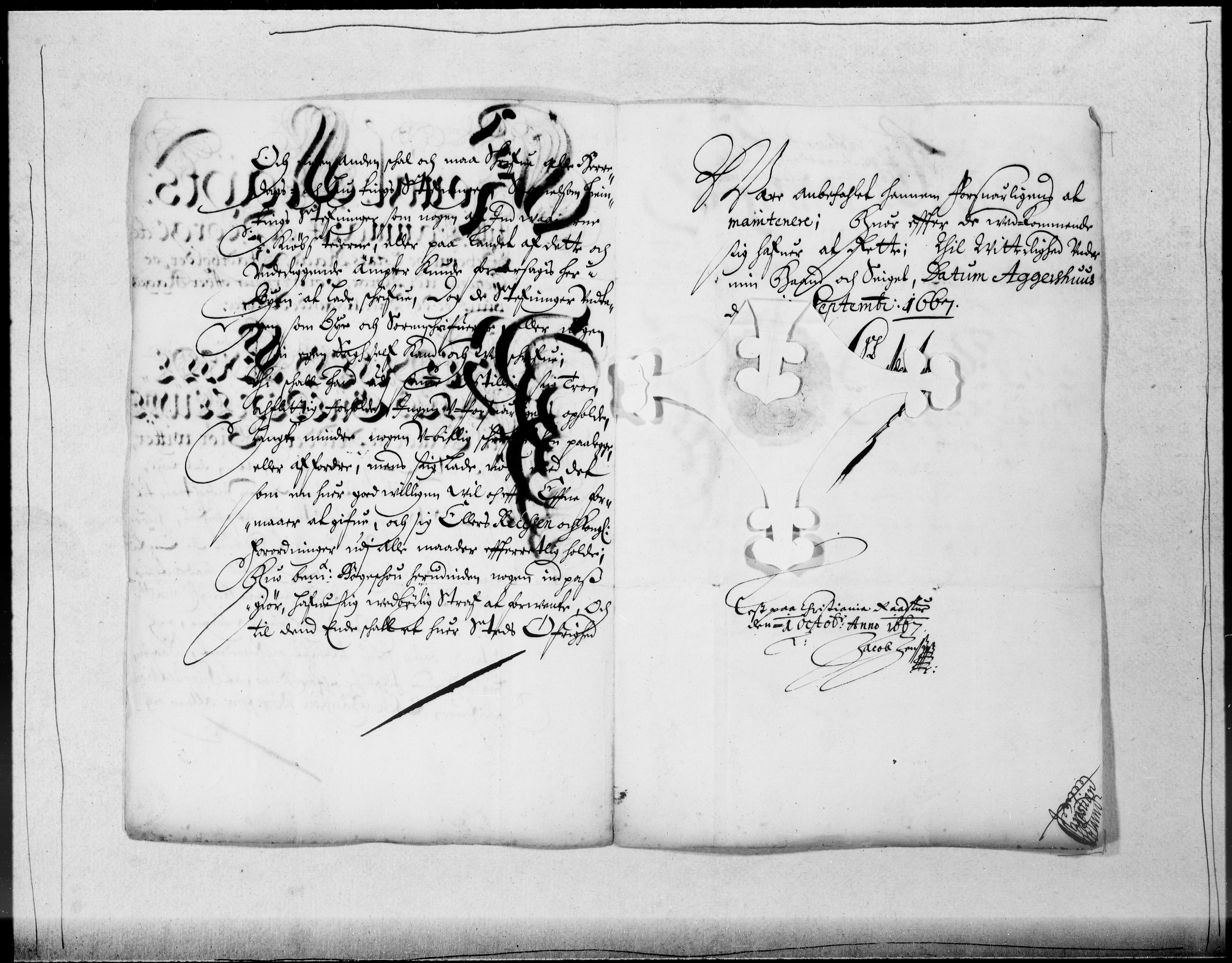 Danske Kanselli 1572-1799, AV/RA-EA-3023/F/Fc/Fcc/Fcca/L0026: Norske innlegg 1572-1799, 1666-1667, p. 319