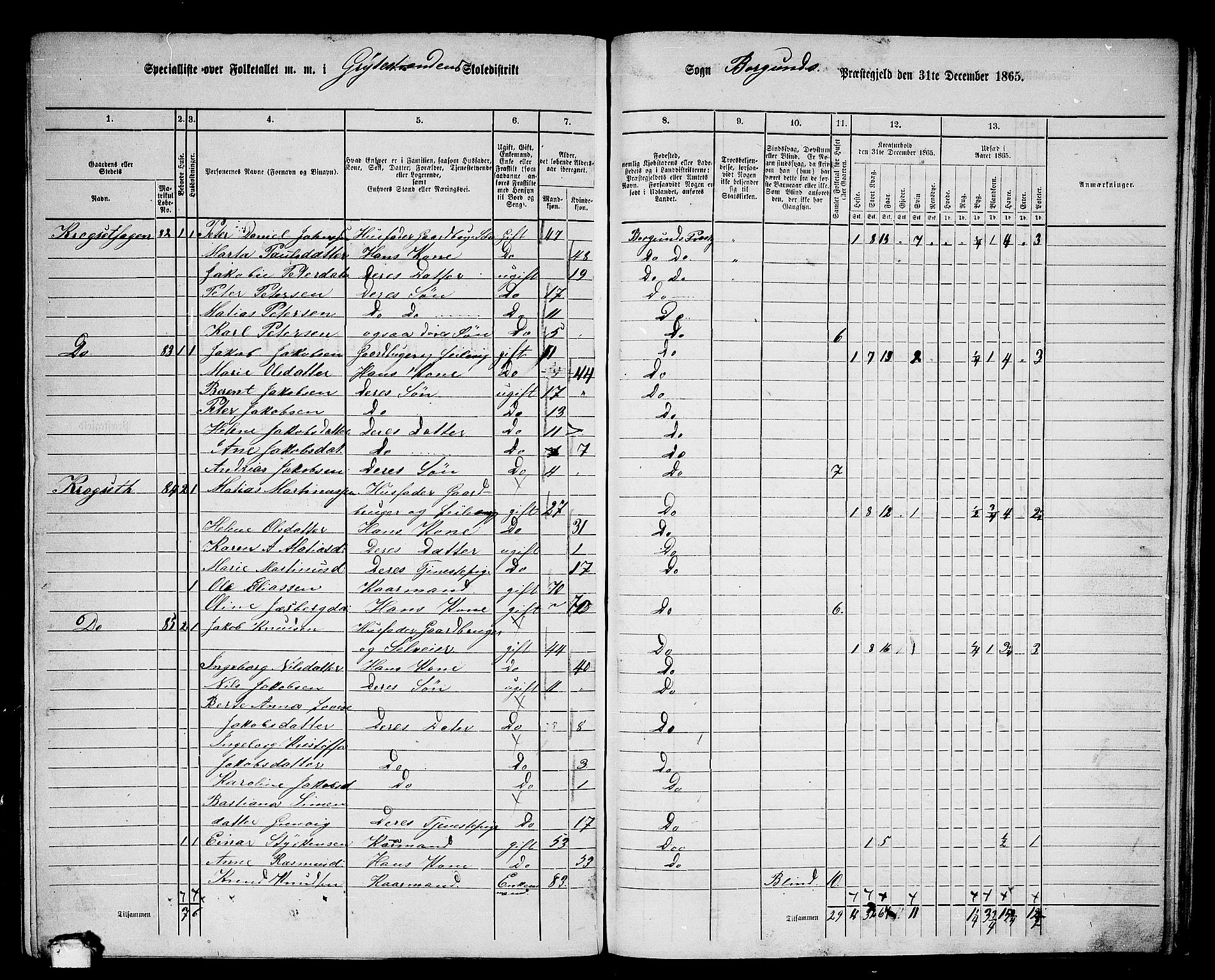 RA, 1865 census for Borgund, 1865, p. 220