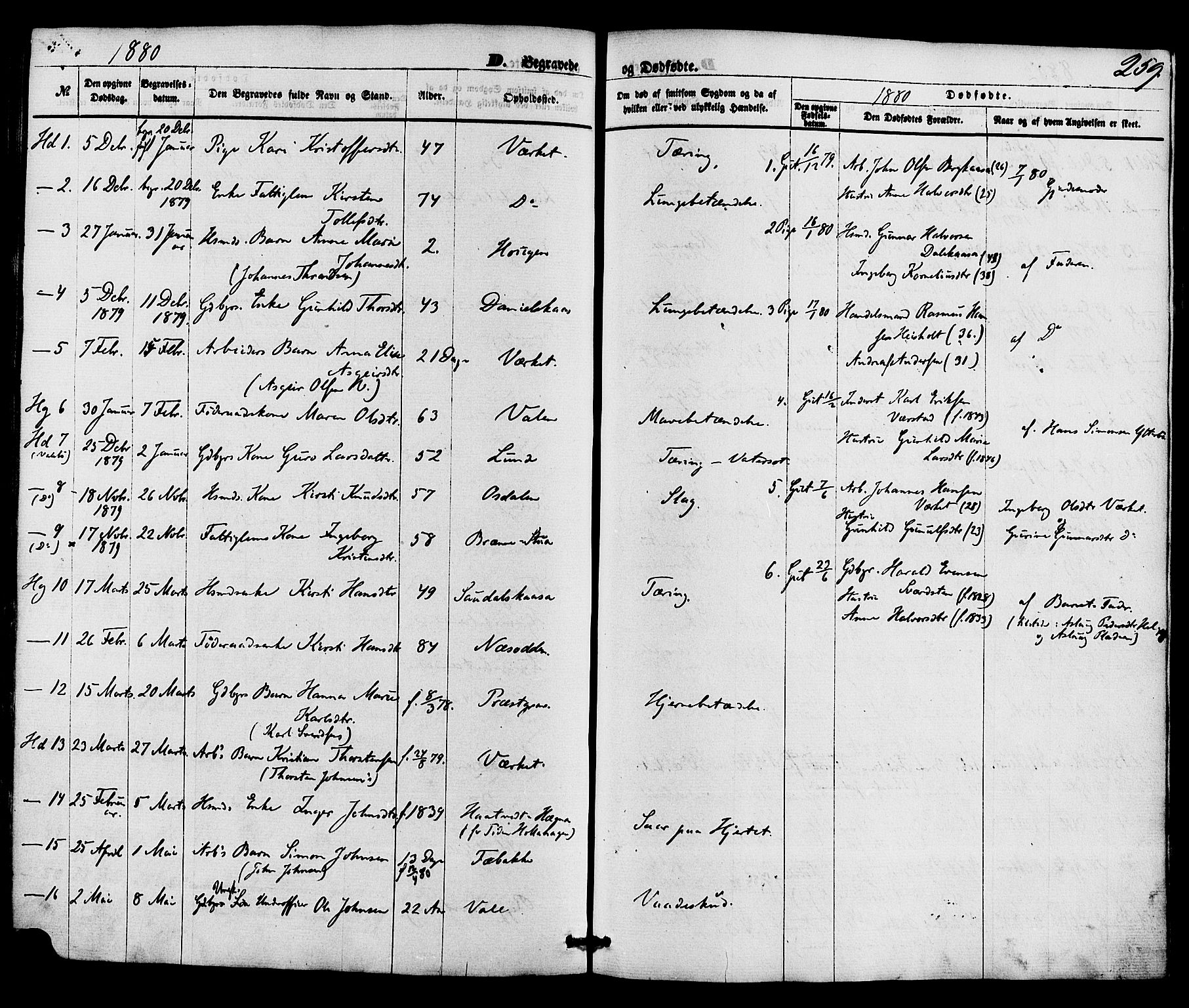 Holla kirkebøker, SAKO/A-272/F/Fa/L0007: Parish register (official) no. 7, 1869-1881, p. 259