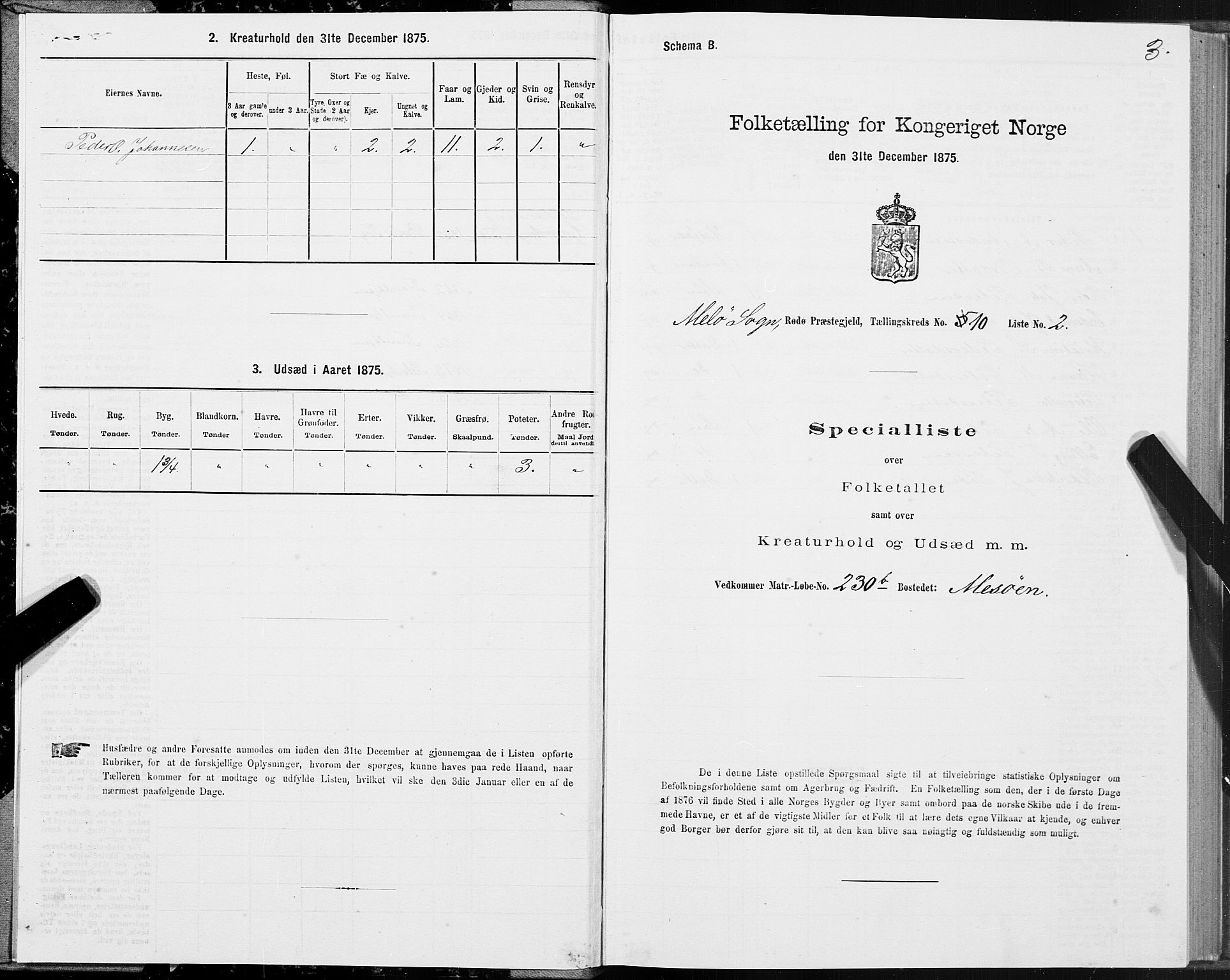 SAT, 1875 census for 1836P Rødøy, 1875, p. 5003