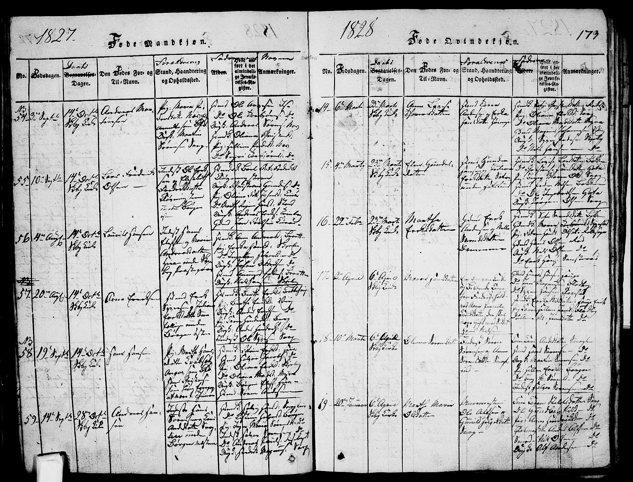 Skjeberg prestekontor Kirkebøker, AV/SAO-A-10923/G/Ga/L0001: Parish register (copy) no. I 1, 1815-1830, p. 173