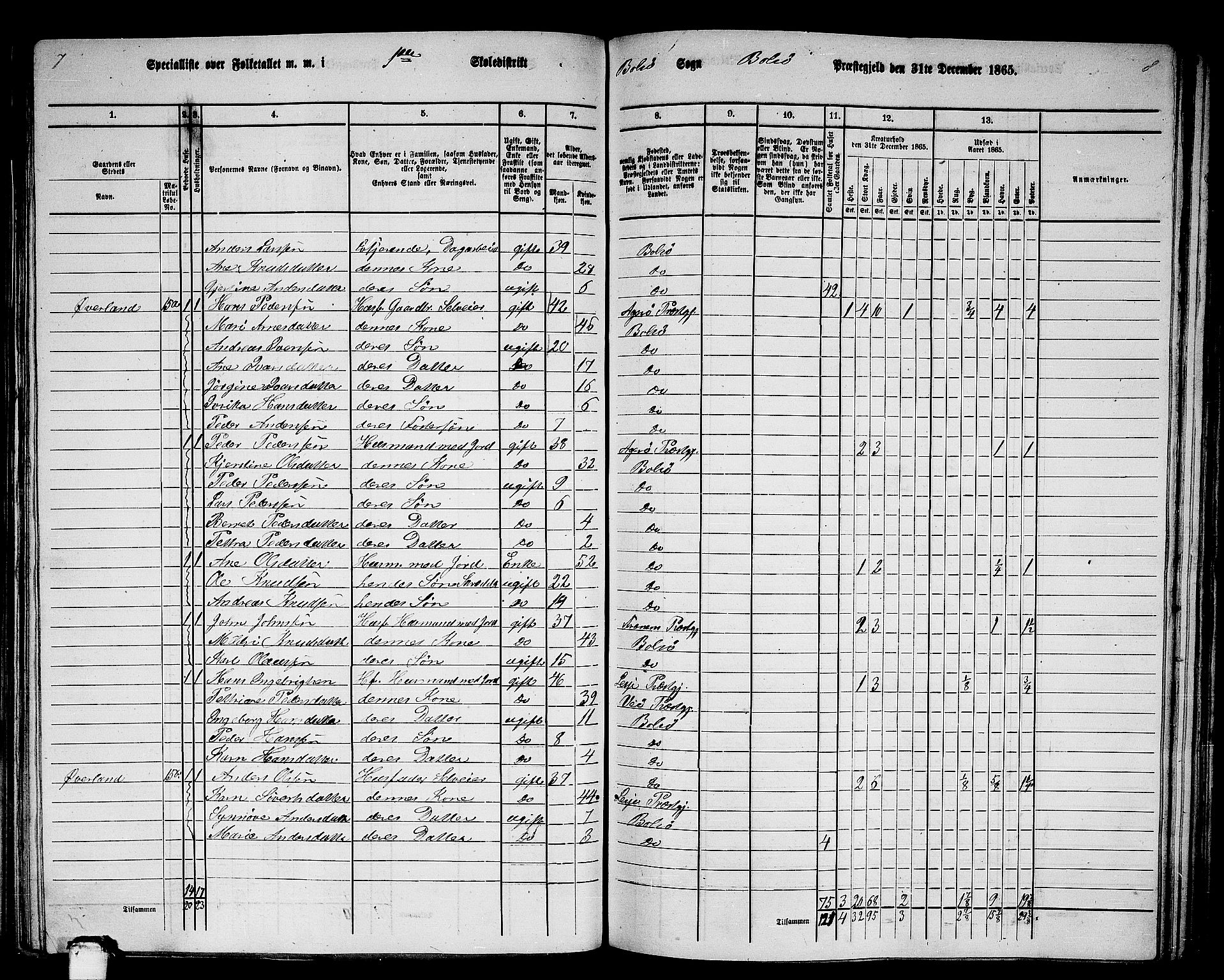 RA, 1865 census for Bolsøy, 1865, p. 24