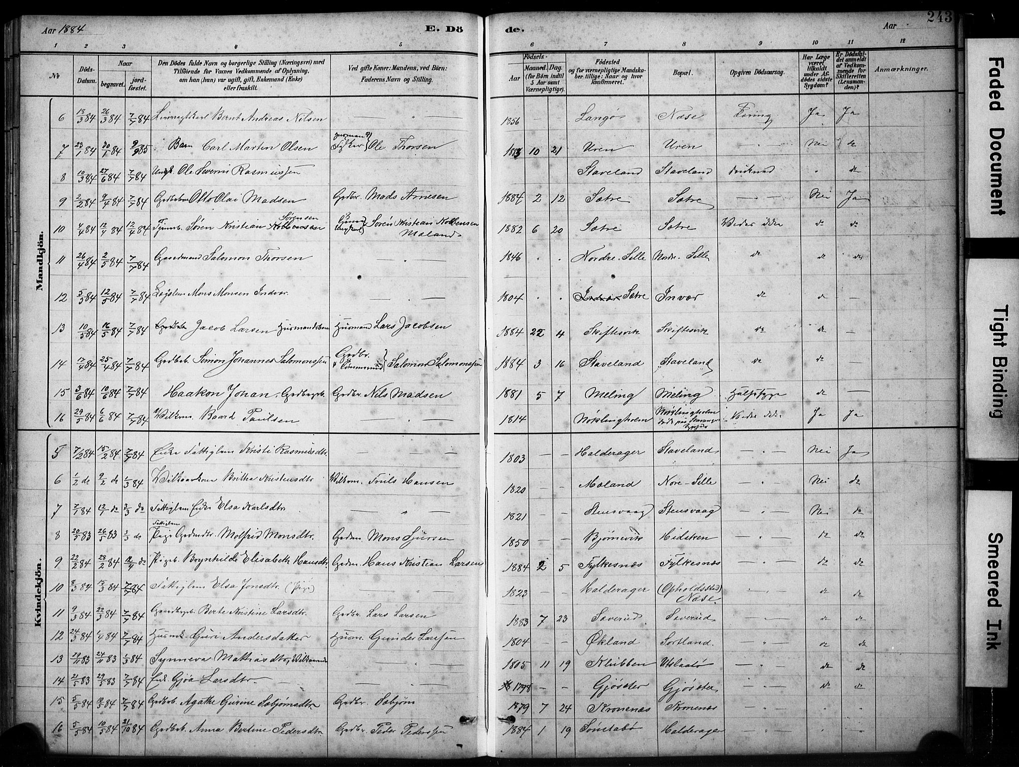 Finnås sokneprestembete, SAB/A-99925/H/Ha/Hab/Habb/L0003: Parish register (copy) no. B 3, 1882-1897, p. 243