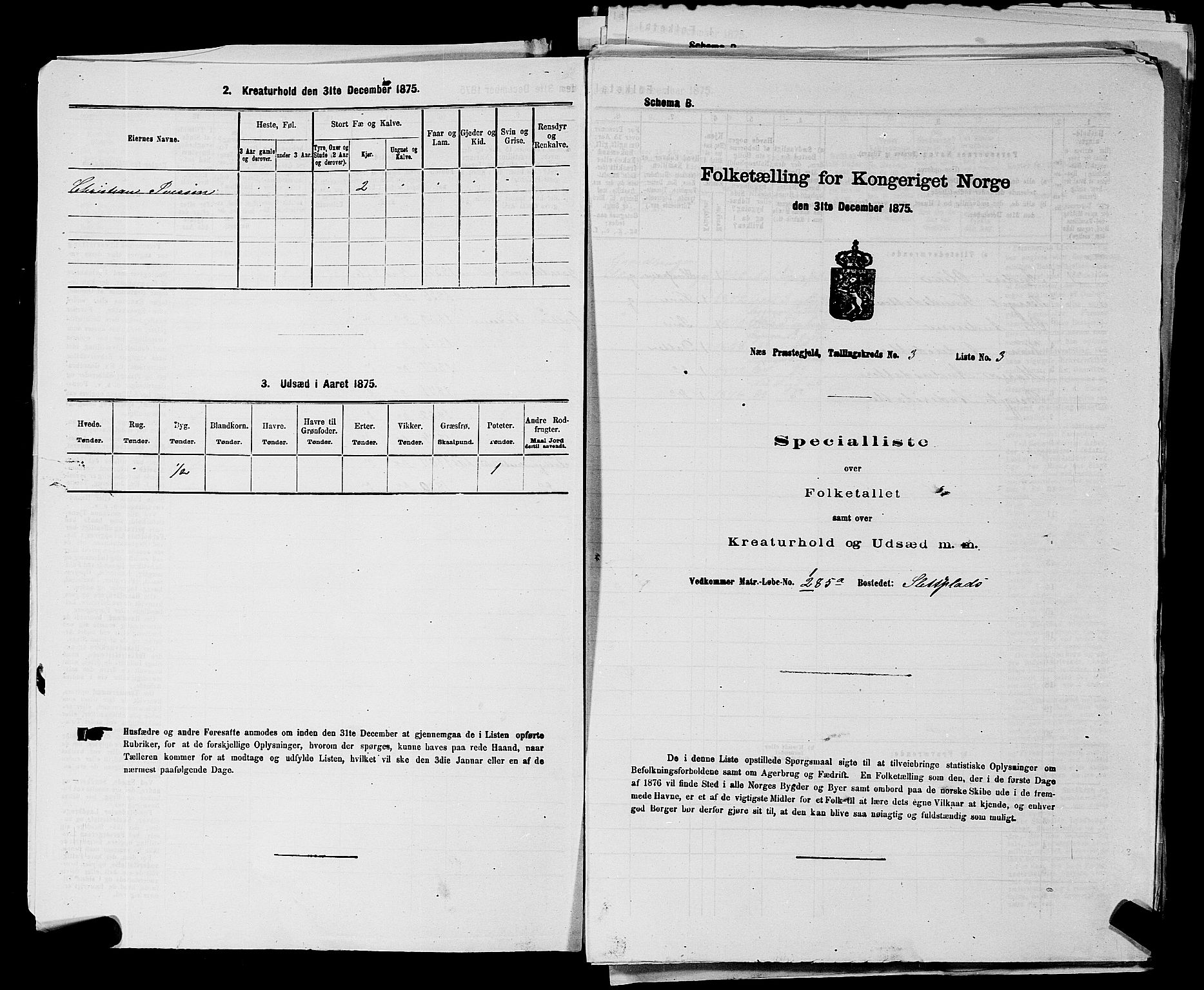 SAKO, 1875 census for 0616P Nes, 1875, p. 471