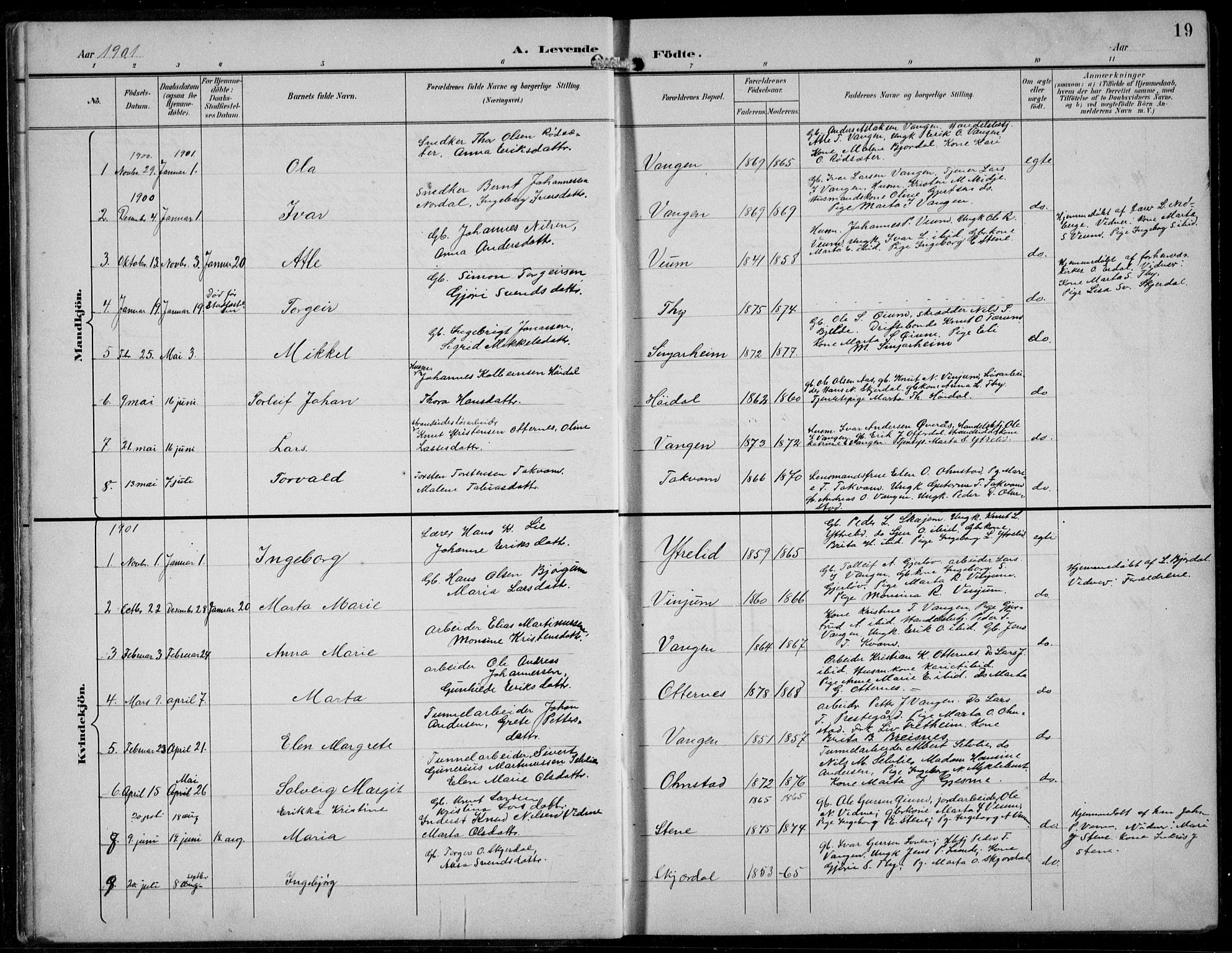 Aurland sokneprestembete, SAB/A-99937/H/Hb/Hba/L0003: Parish register (copy) no. A 3, 1896-1939, p. 19