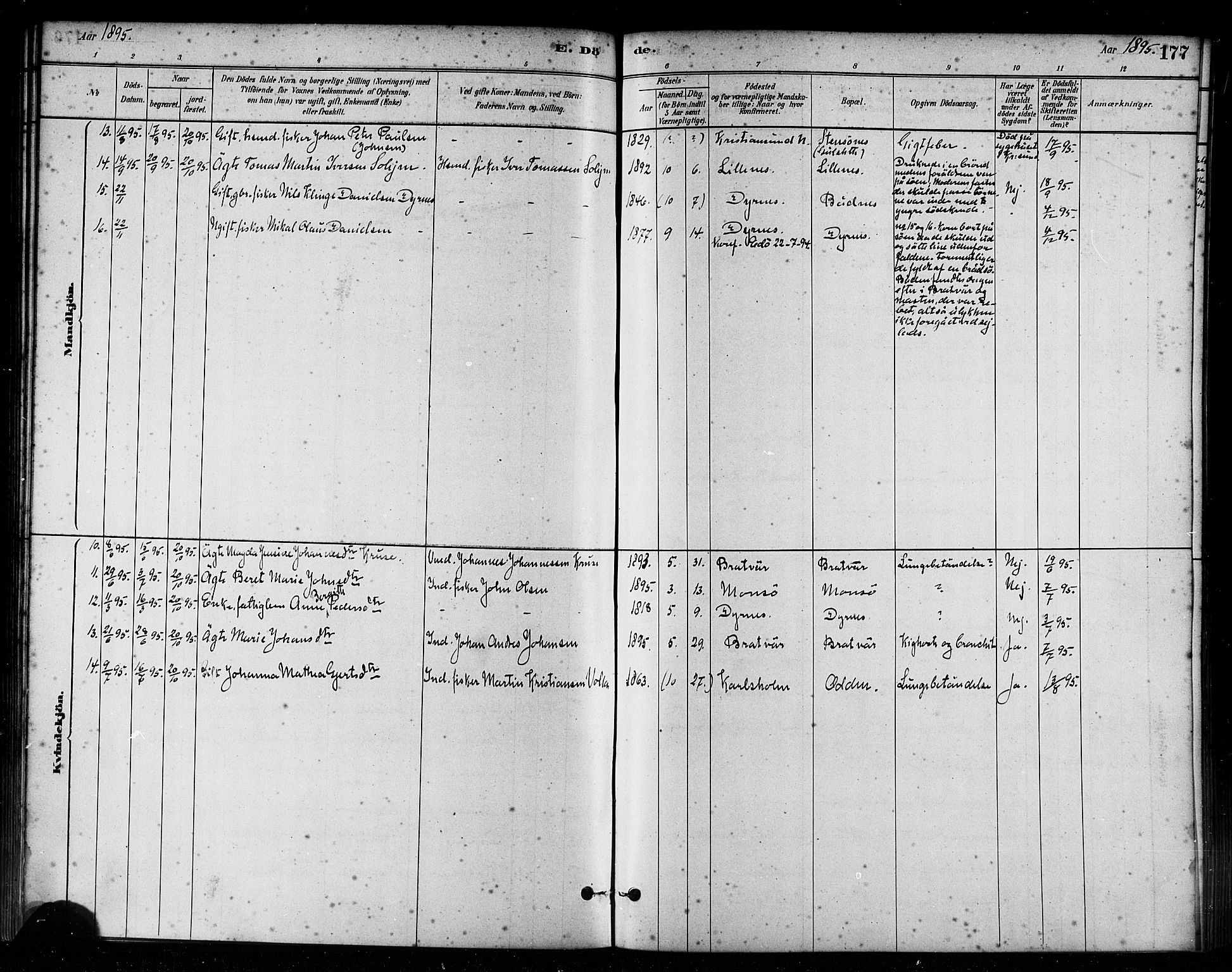 Ministerialprotokoller, klokkerbøker og fødselsregistre - Møre og Romsdal, AV/SAT-A-1454/582/L0947: Parish register (official) no. 582A01, 1880-1900, p. 177