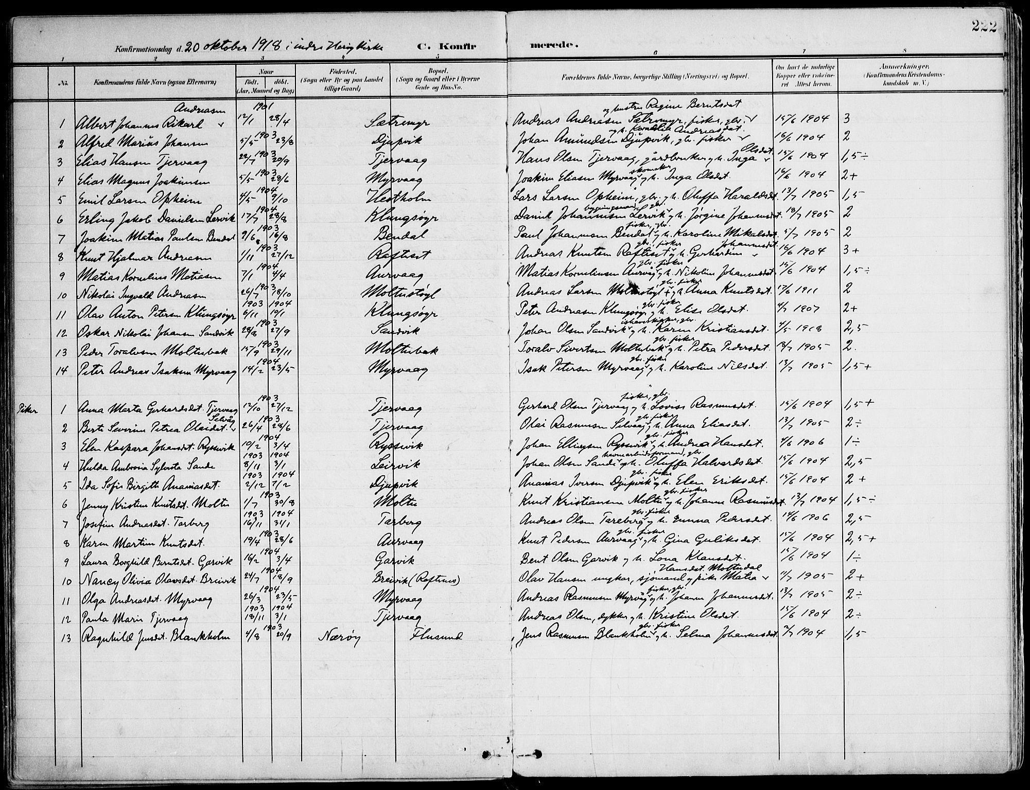 Ministerialprotokoller, klokkerbøker og fødselsregistre - Møre og Romsdal, AV/SAT-A-1454/507/L0075: Parish register (official) no. 507A10, 1901-1920, p. 222