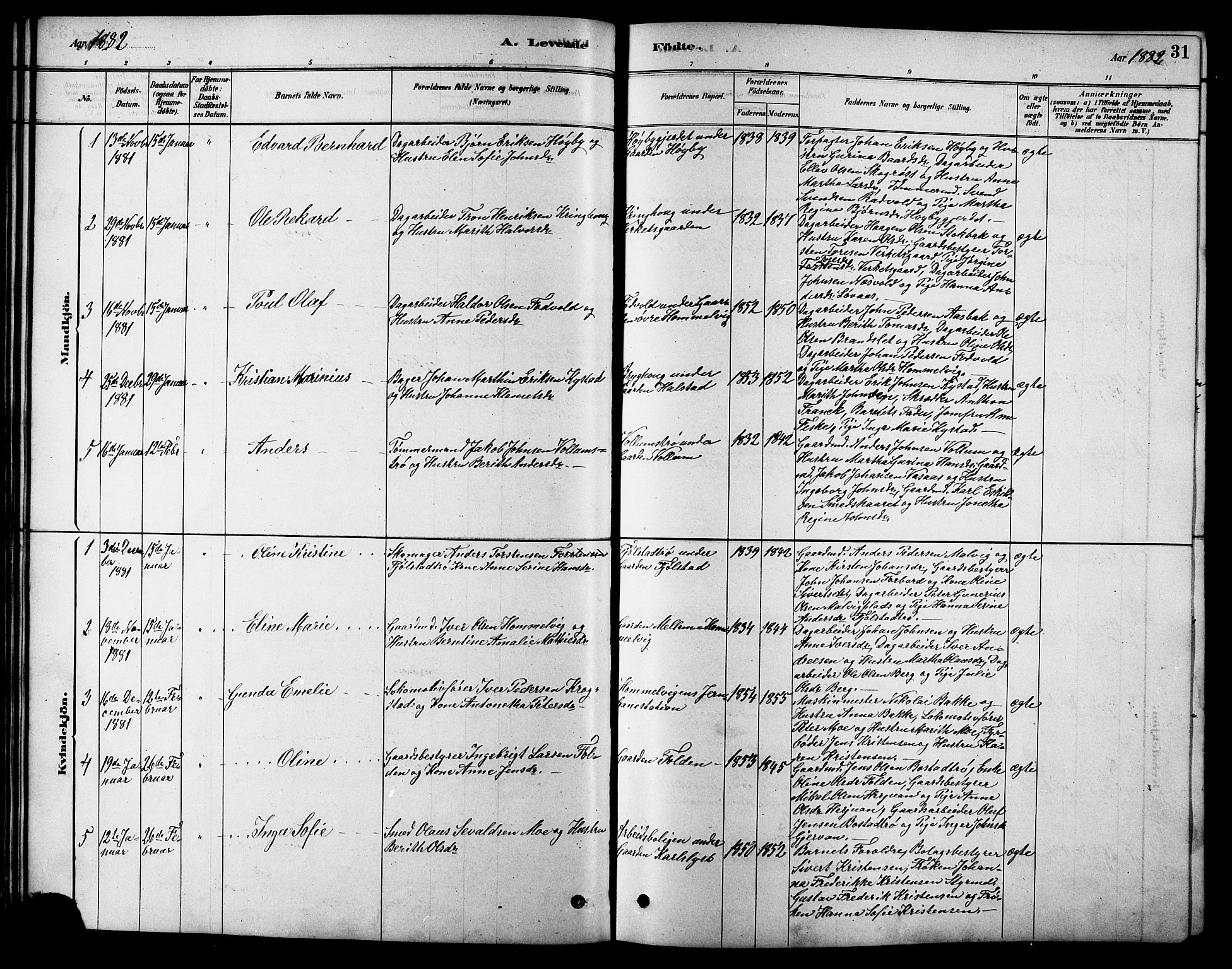 Ministerialprotokoller, klokkerbøker og fødselsregistre - Sør-Trøndelag, SAT/A-1456/616/L0423: Parish register (copy) no. 616C06, 1878-1903, p. 31