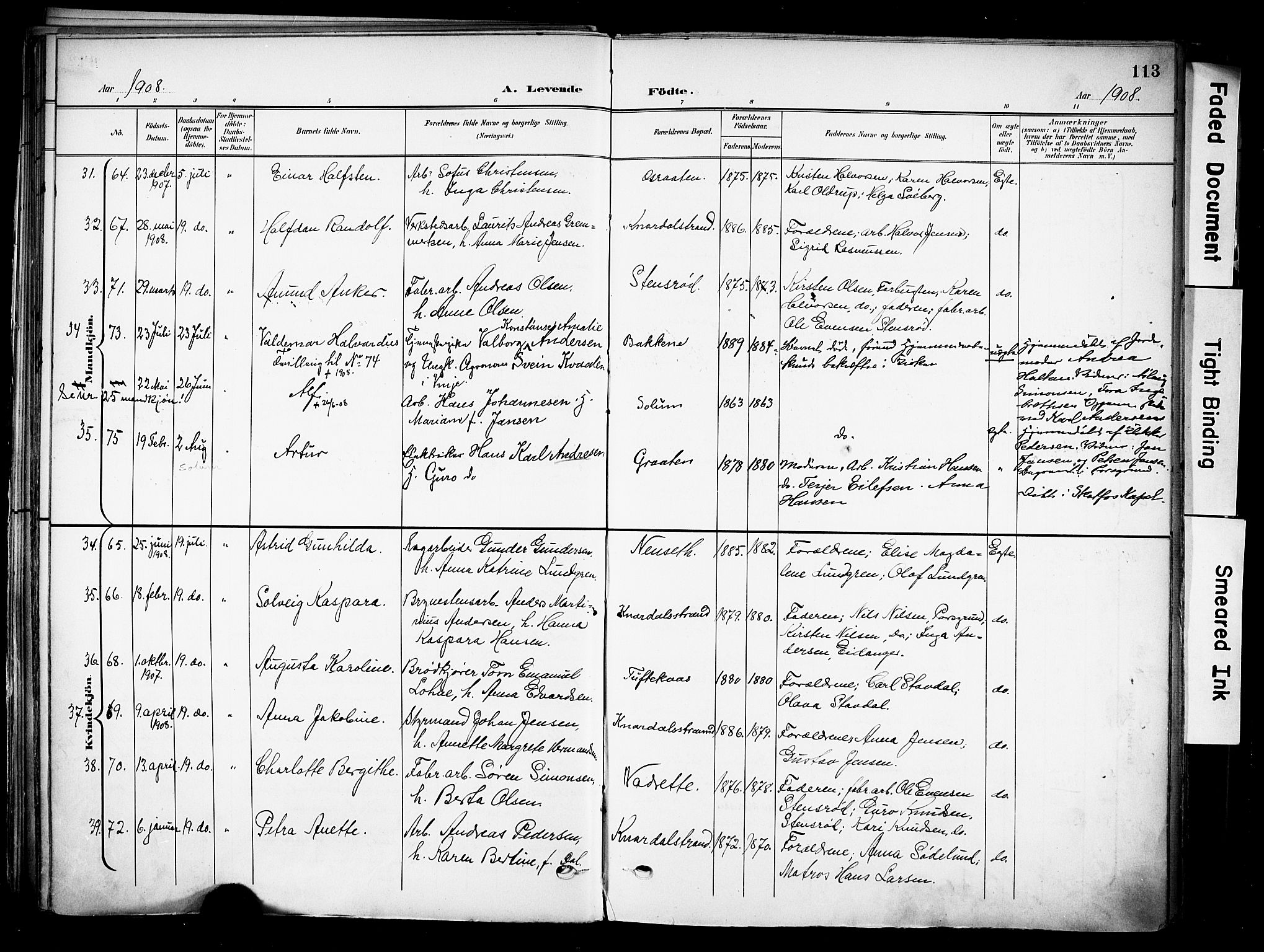 Solum kirkebøker, SAKO/A-306/F/Fa/L0011: Parish register (official) no. I 11, 1898-1909, p. 113