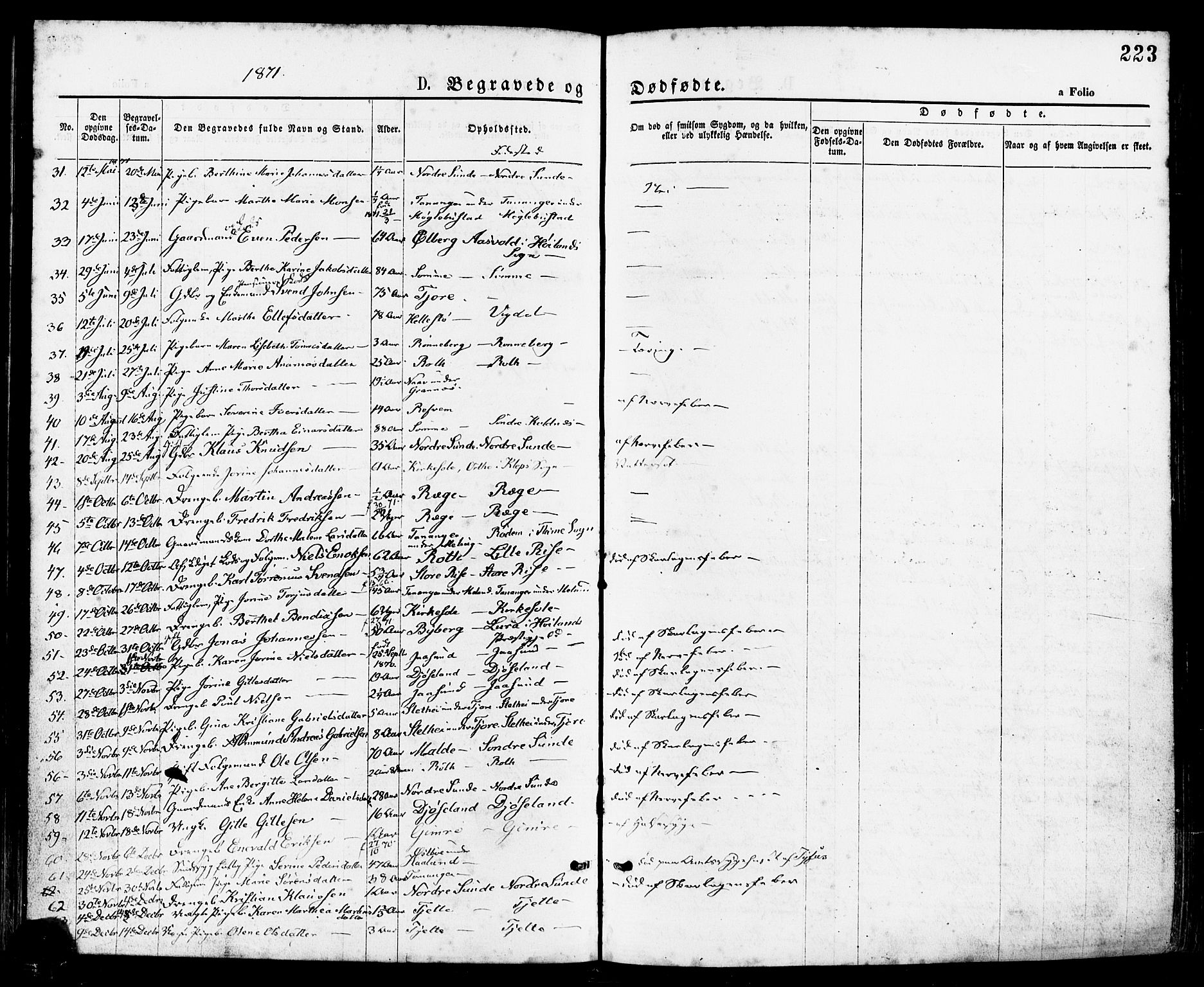 Håland sokneprestkontor, AV/SAST-A-101802/001/30BA/L0009: Parish register (official) no. A 8, 1871-1882, p. 223