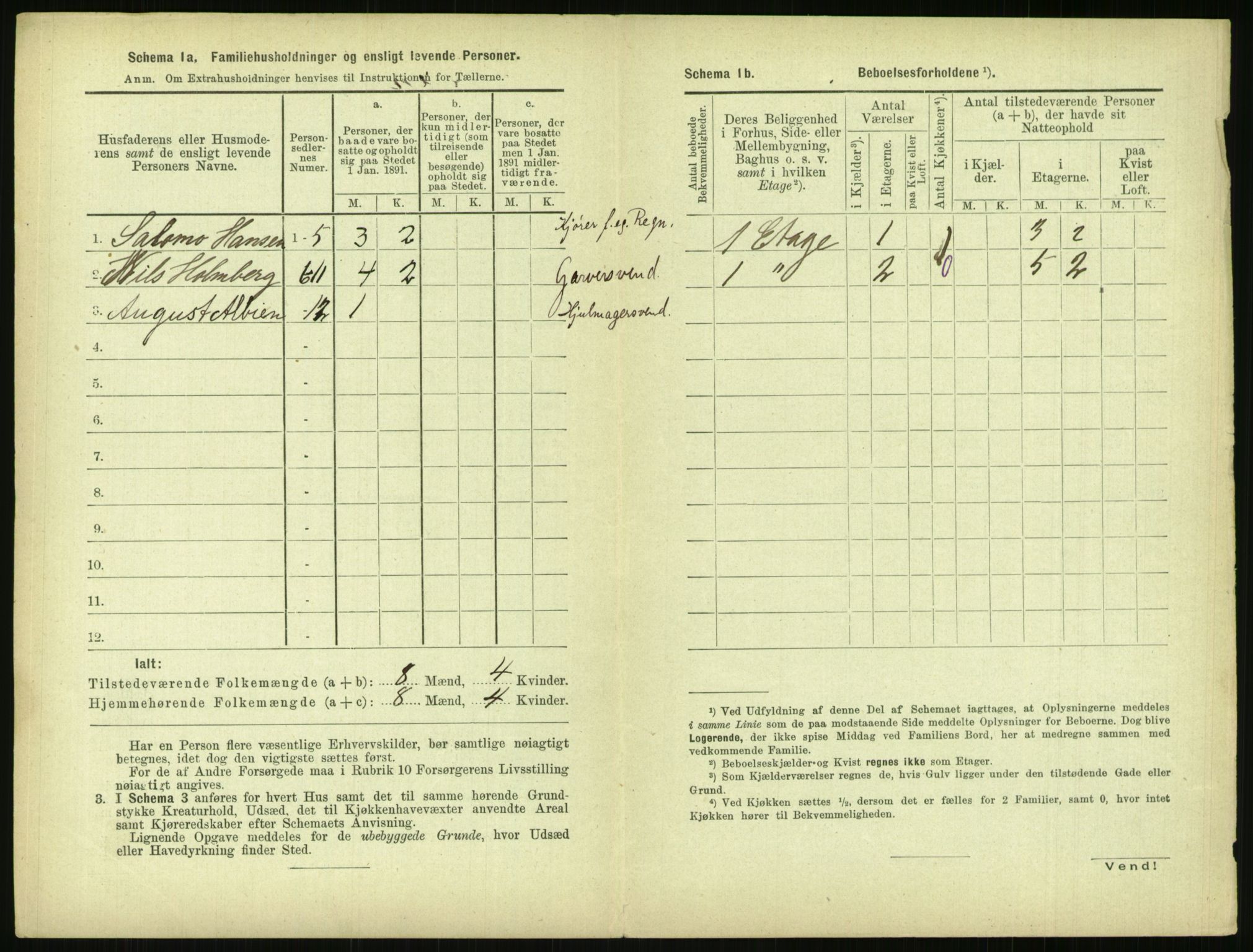 RA, 1891 census for 0806 Skien, 1891, p. 317