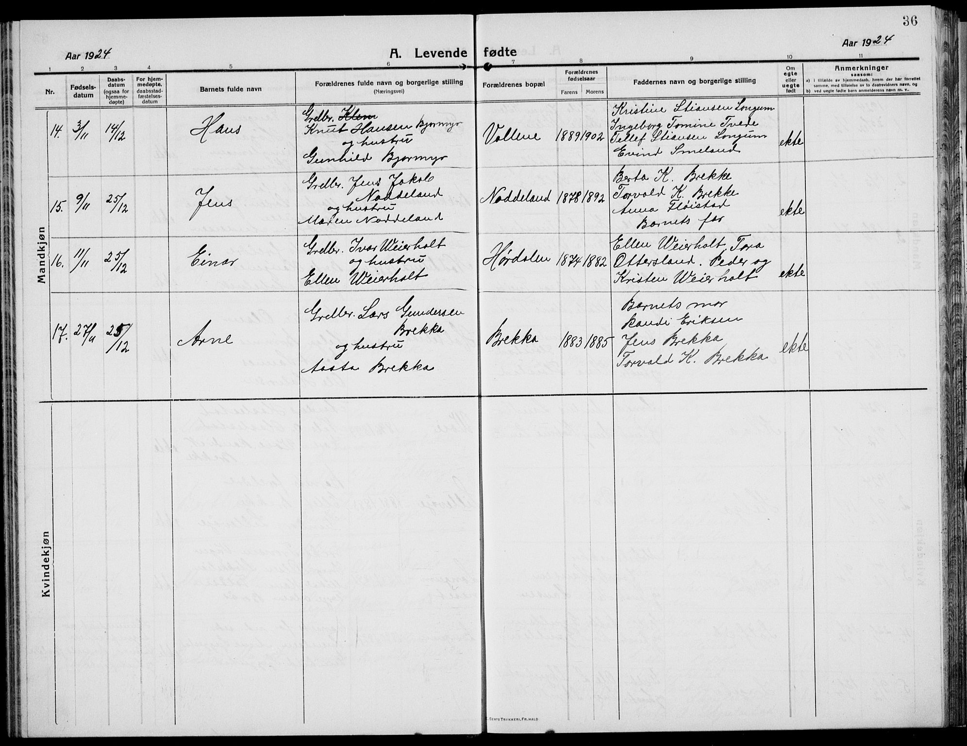 Austre Moland sokneprestkontor, SAK/1111-0001/F/Fb/Fba/L0005: Parish register (copy) no. B 4b, 1914-1935, p. 36