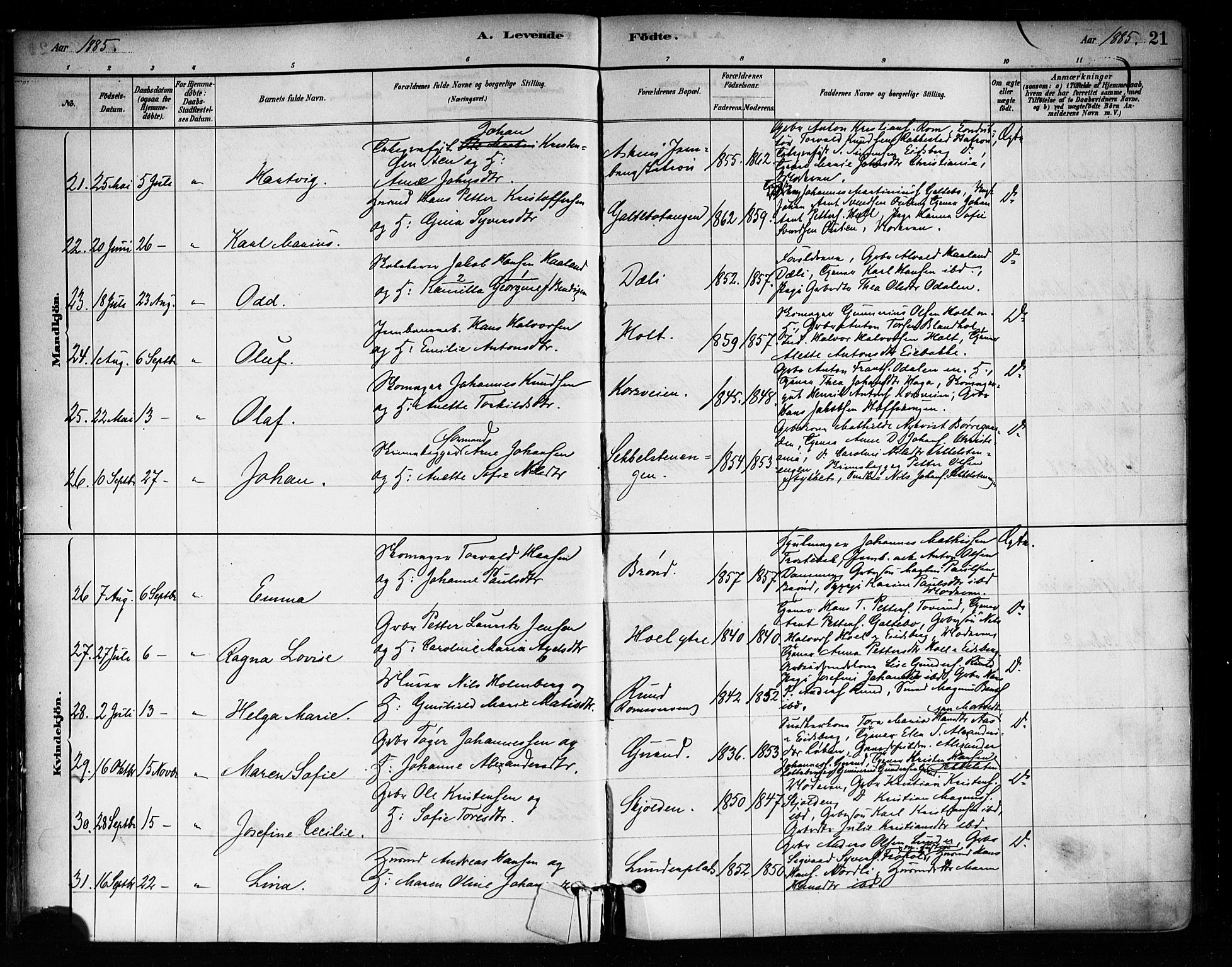 Askim prestekontor Kirkebøker, SAO/A-10900/F/Fa/L0007: Parish register (official) no. 7, 1882-1897, p. 21