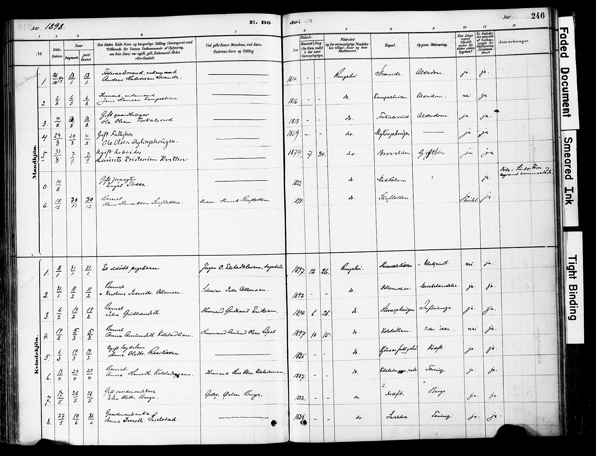 Ringebu prestekontor, SAH/PREST-082/H/Ha/Haa/L0008: Parish register (official) no. 8, 1878-1898, p. 246