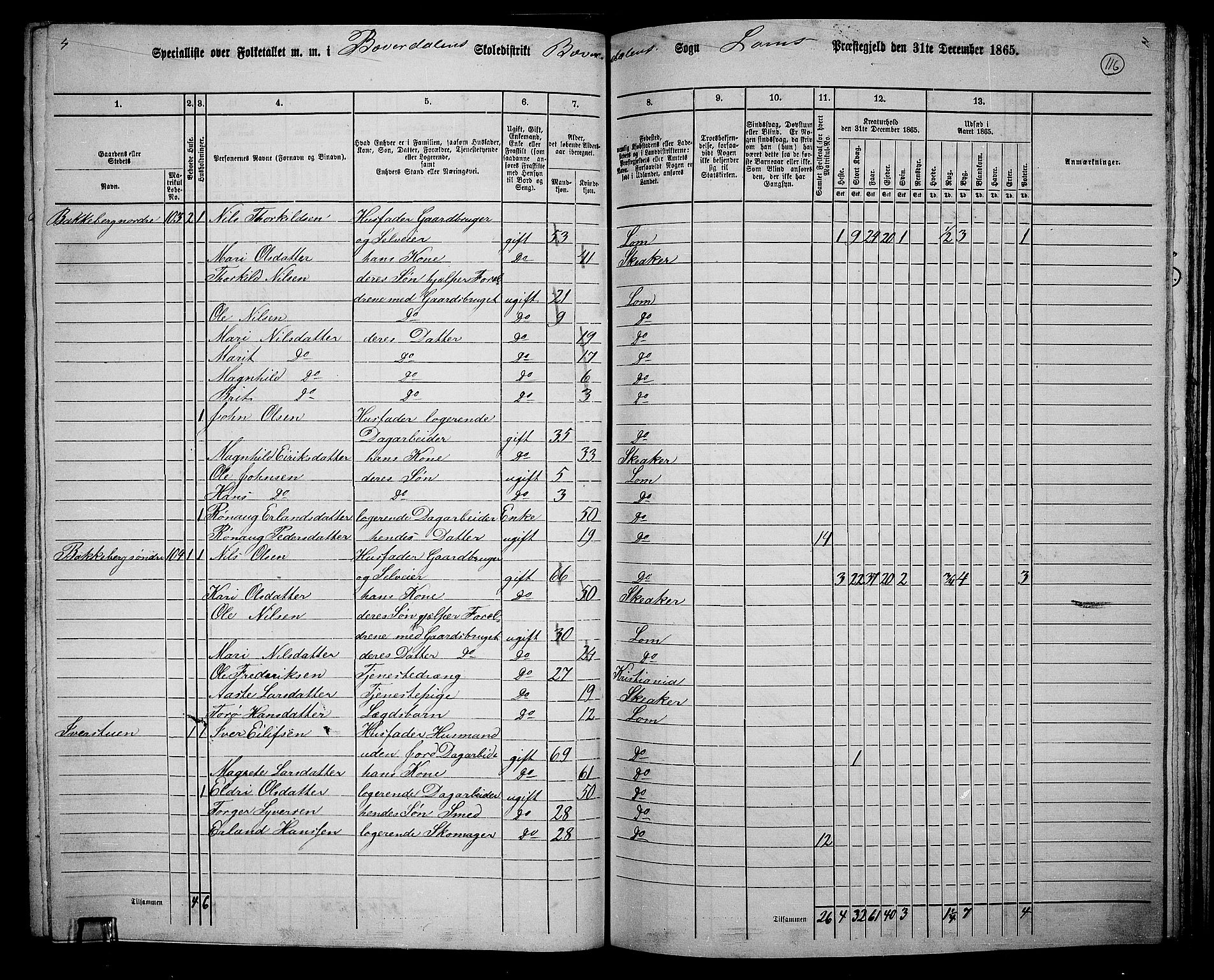 RA, 1865 census for Lom, 1865, p. 108
