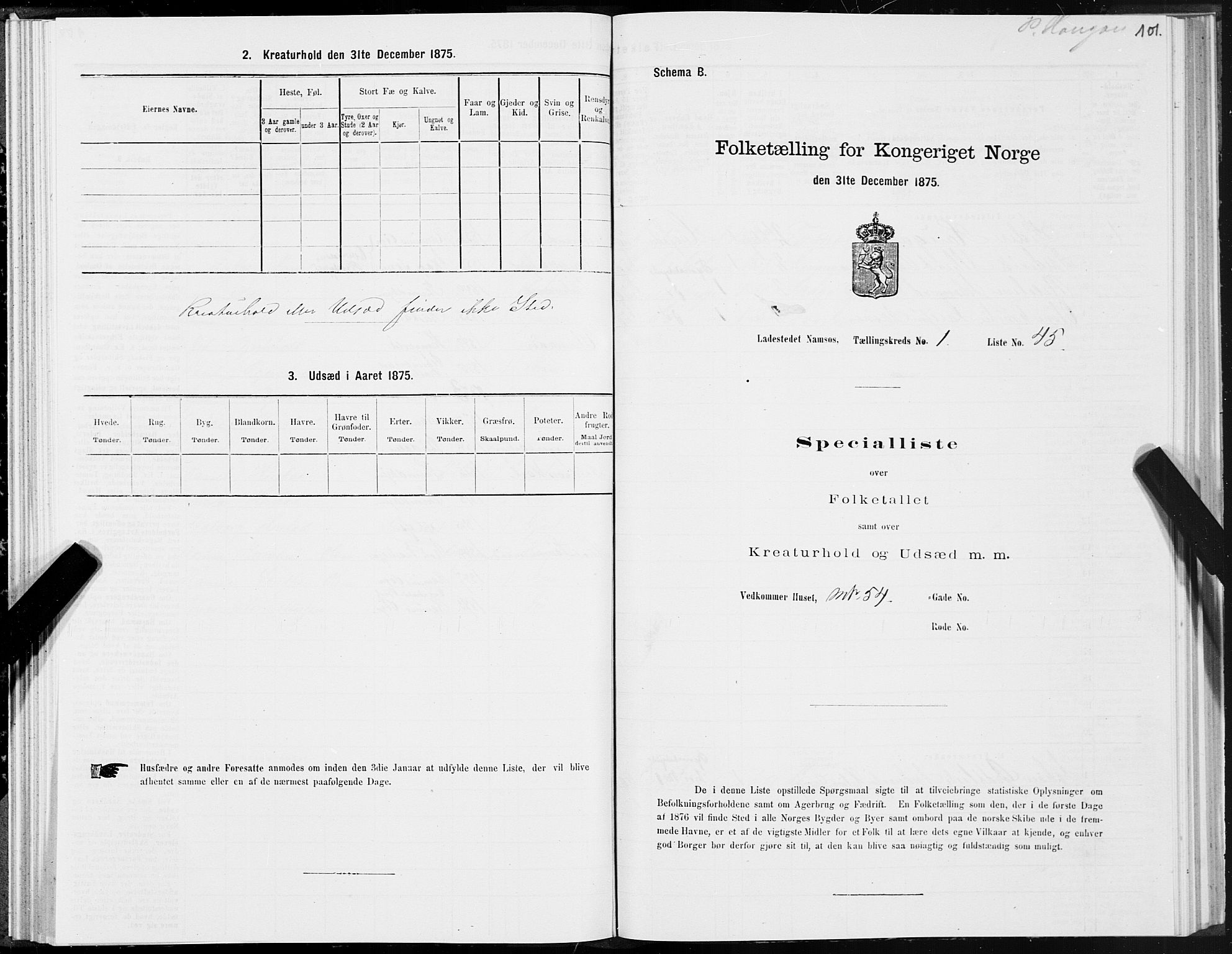 SAT, 1875 census for 1703B Namsos/Namsos, 1875, p. 101