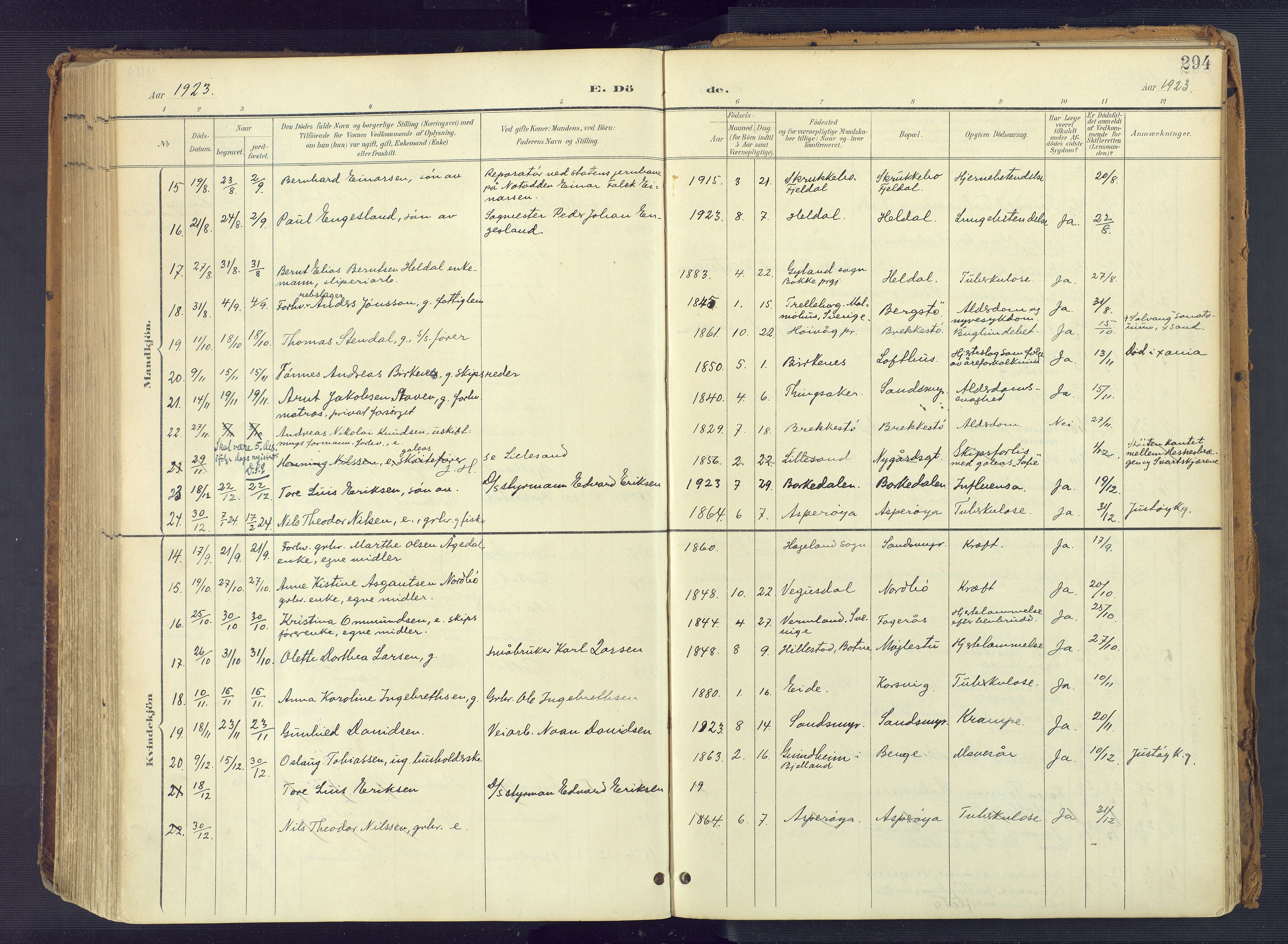 Vestre Moland sokneprestkontor, SAK/1111-0046/F/Fa/Fab/L0010: Parish register (official) no. A 10, 1900-1926, p. 294