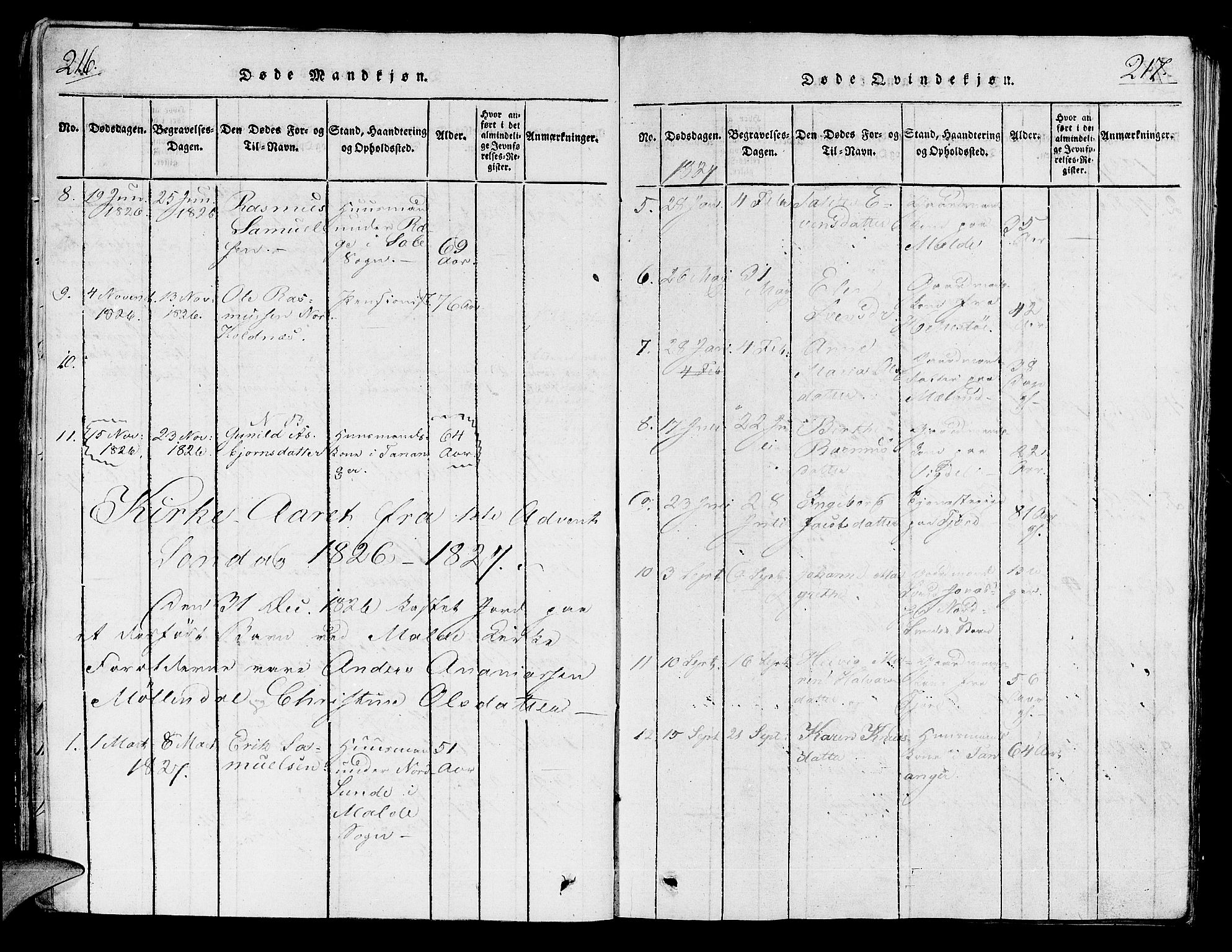 Håland sokneprestkontor, AV/SAST-A-101802/001/30BA/L0004: Parish register (official) no. A 4, 1815-1829, p. 216-217