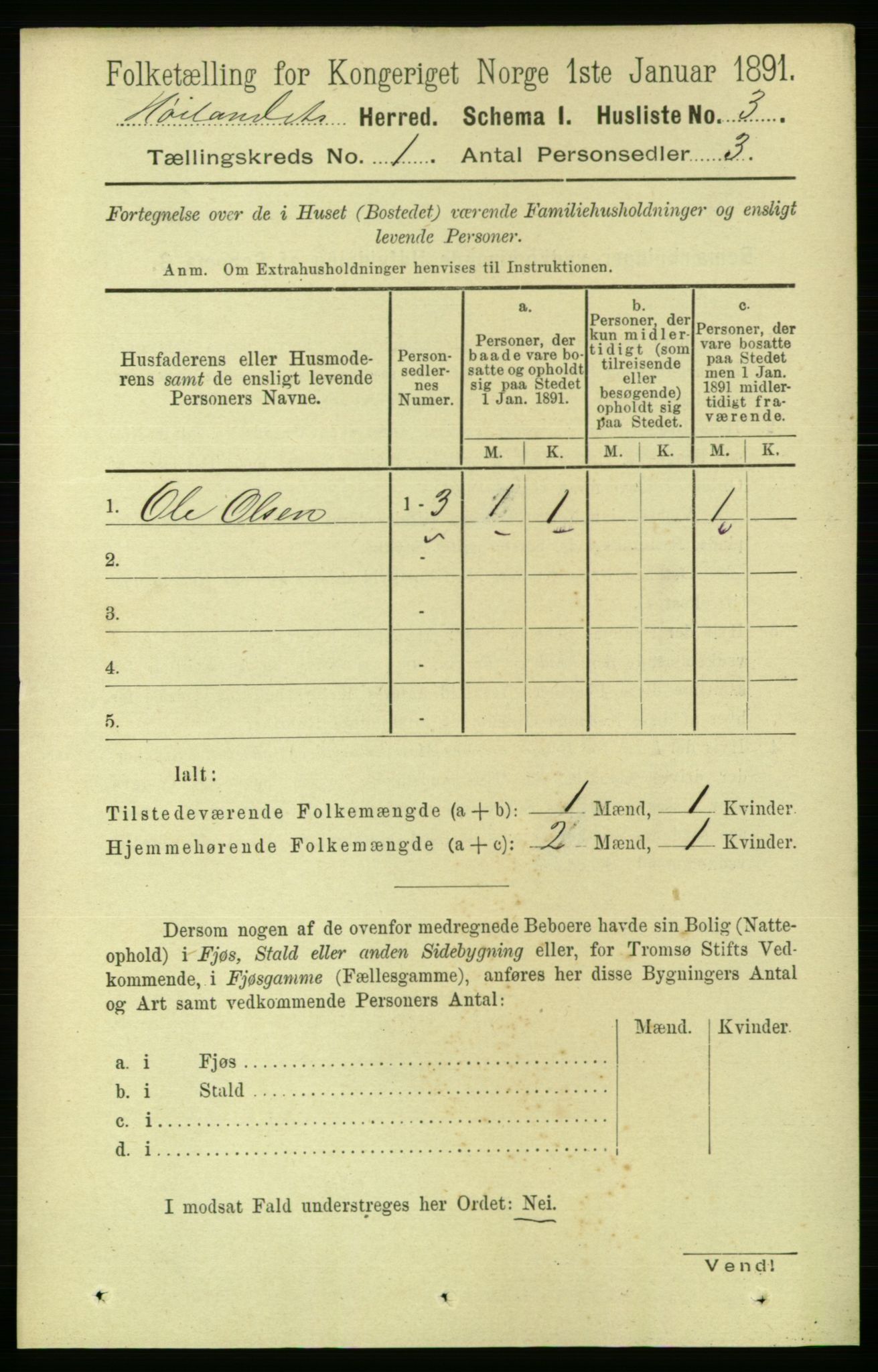 RA, 1891 census for 1651 Hølonda, 1891, p. 15