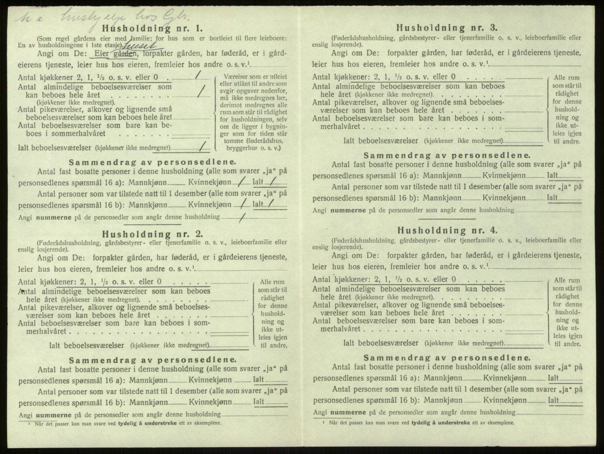 SAB, 1920 census for Hamre, 1920, p. 313