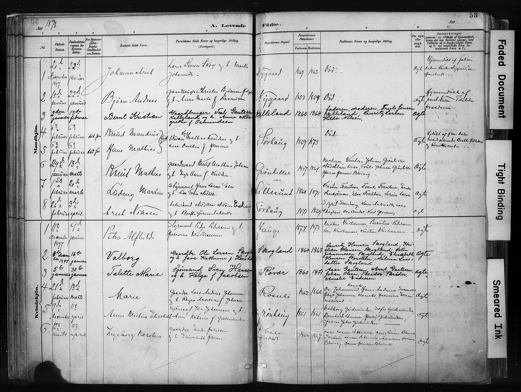 Haugesund sokneprestkontor, SAST/A -101863/H/Ha/Haa/L0004: Parish register (official) no. A 4, 1886-1908, p. 53