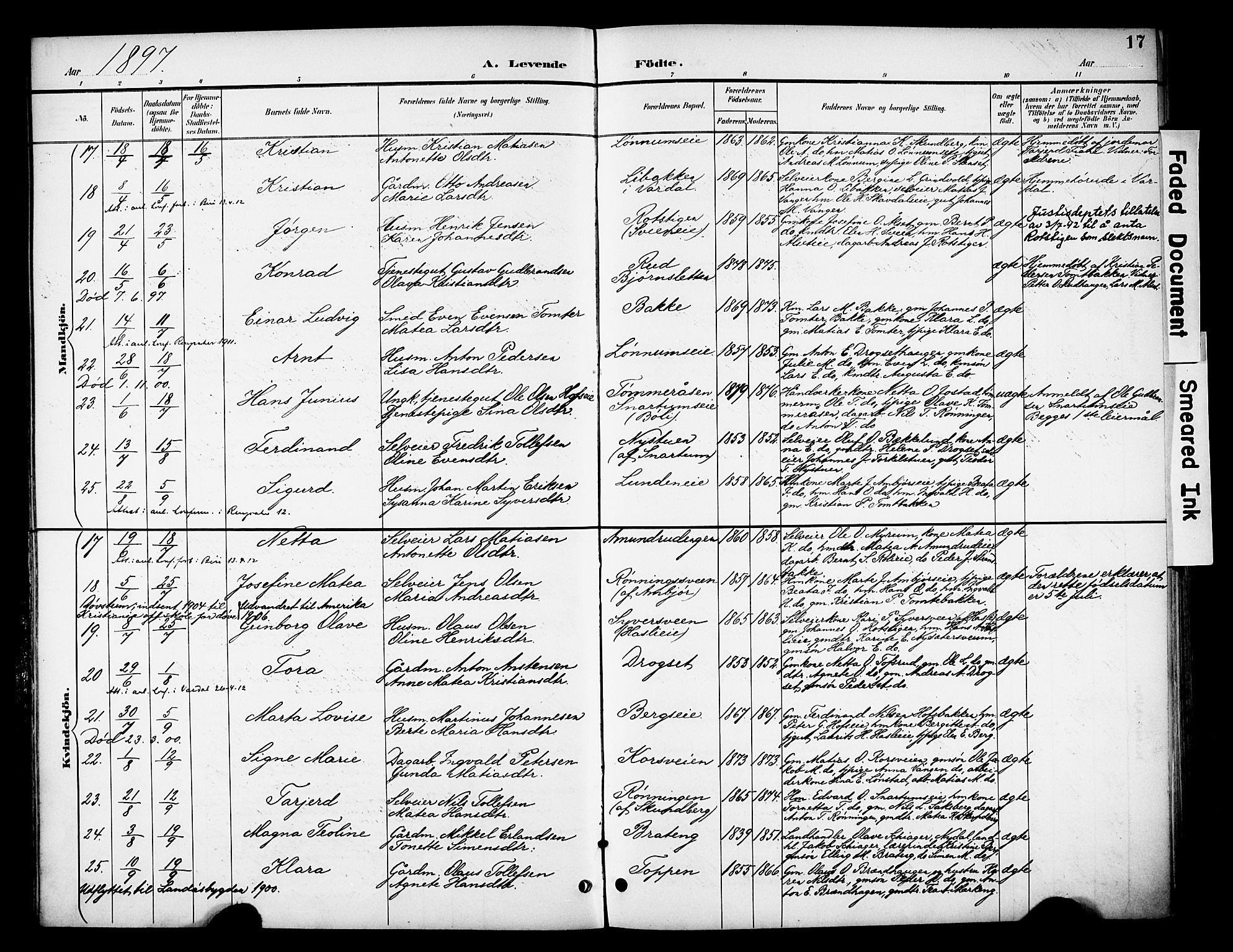 Biri prestekontor, AV/SAH-PREST-096/H/Ha/Haa/L0008: Parish register (official) no. 8, 1894-1901, p. 17