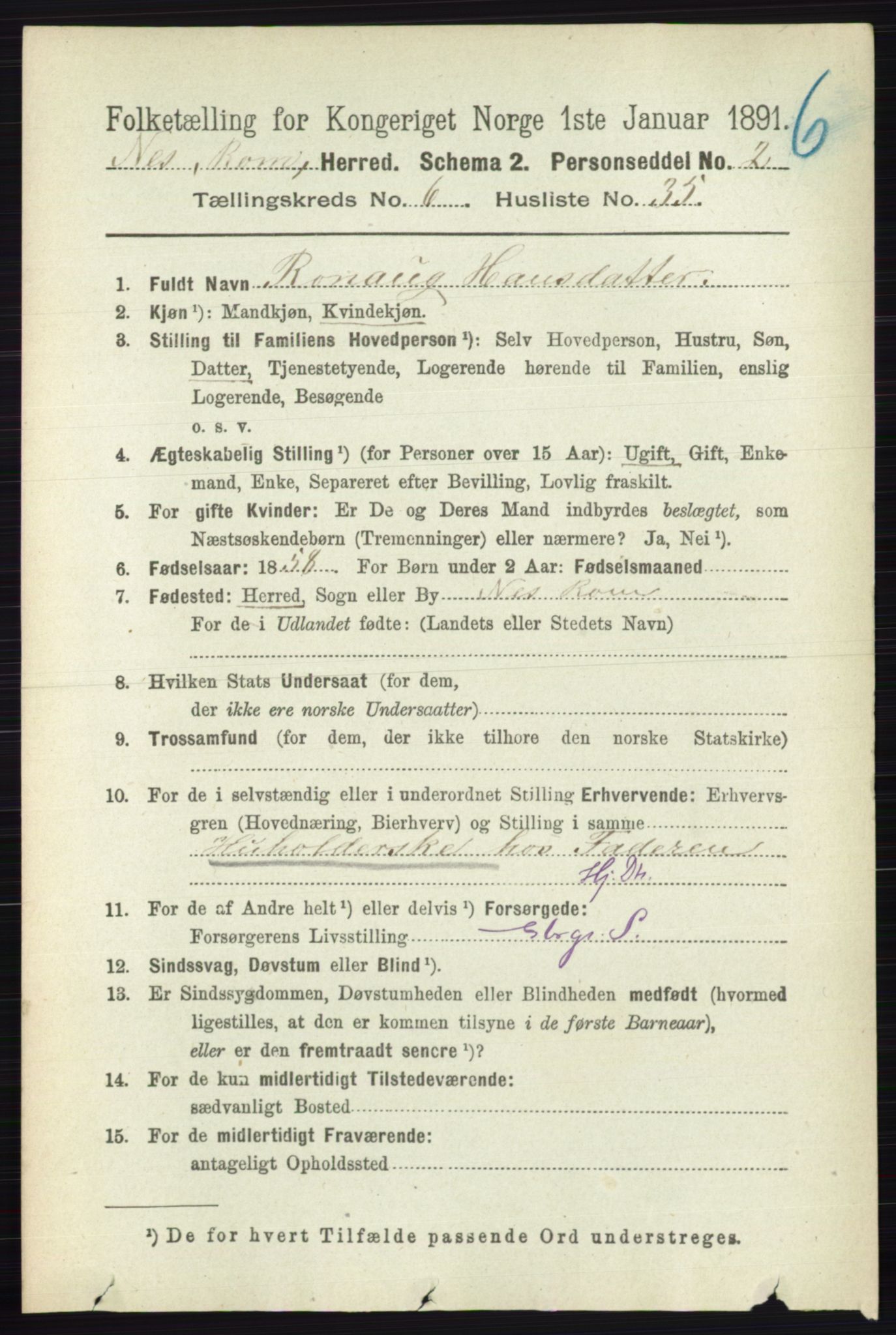 RA, 1891 census for 0236 Nes, 1891, p. 3604