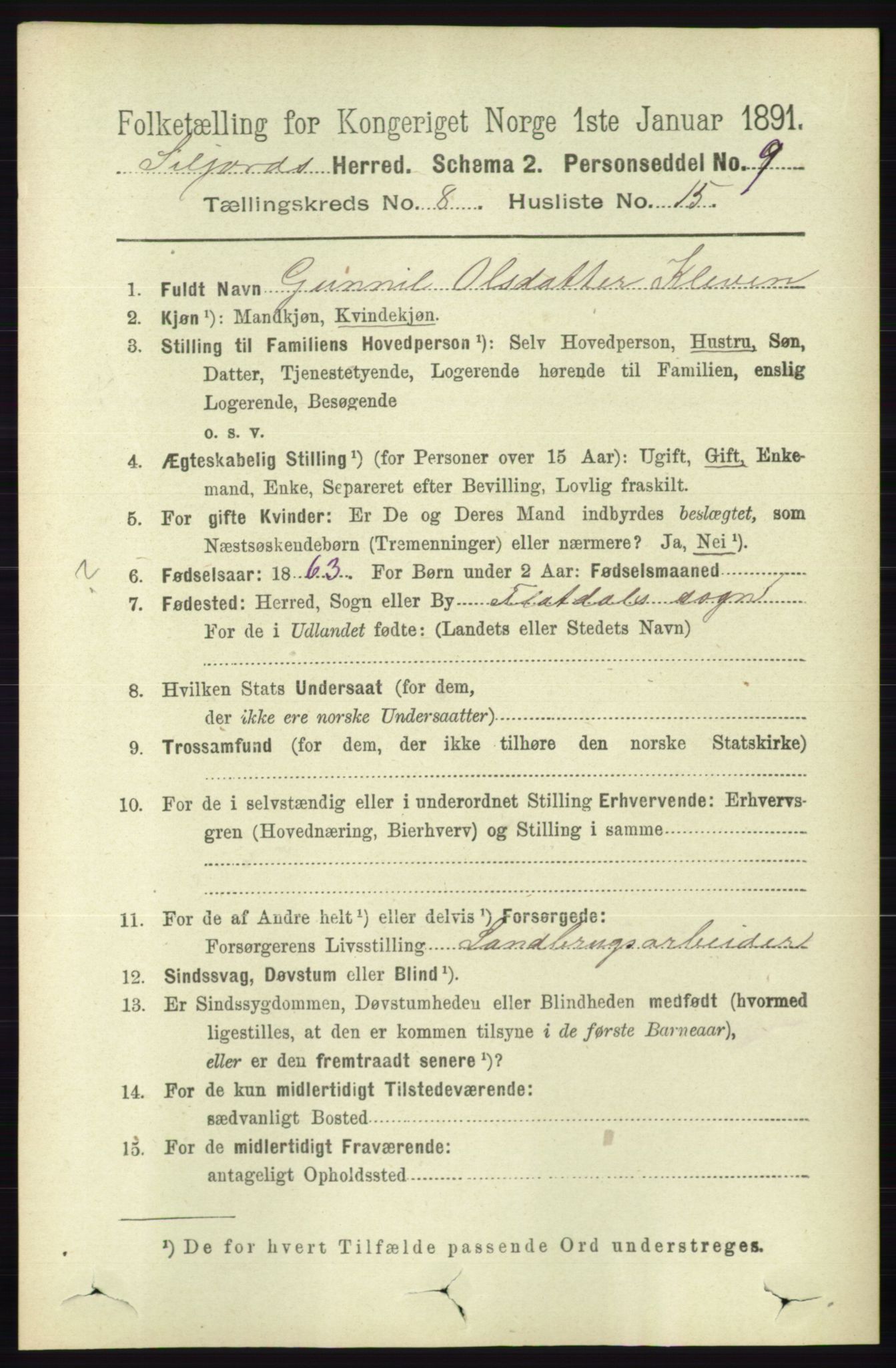 RA, 1891 census for 0828 Seljord, 1891, p. 2965