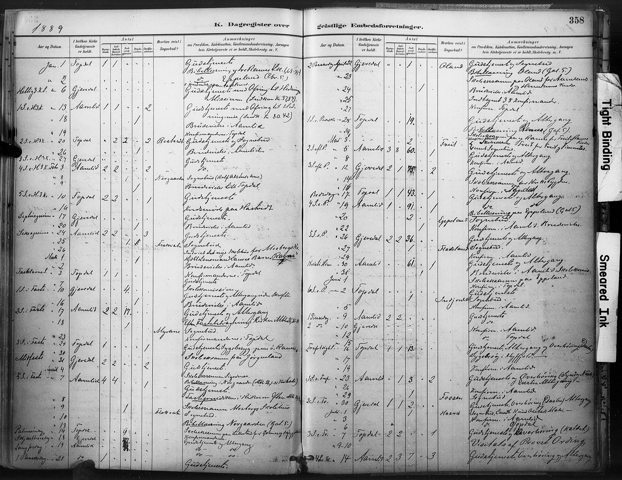 Åmli sokneprestkontor, SAK/1111-0050/F/Fa/Fac/L0010: Parish register (official) no. A 10 /1, 1885-1899, p. 358